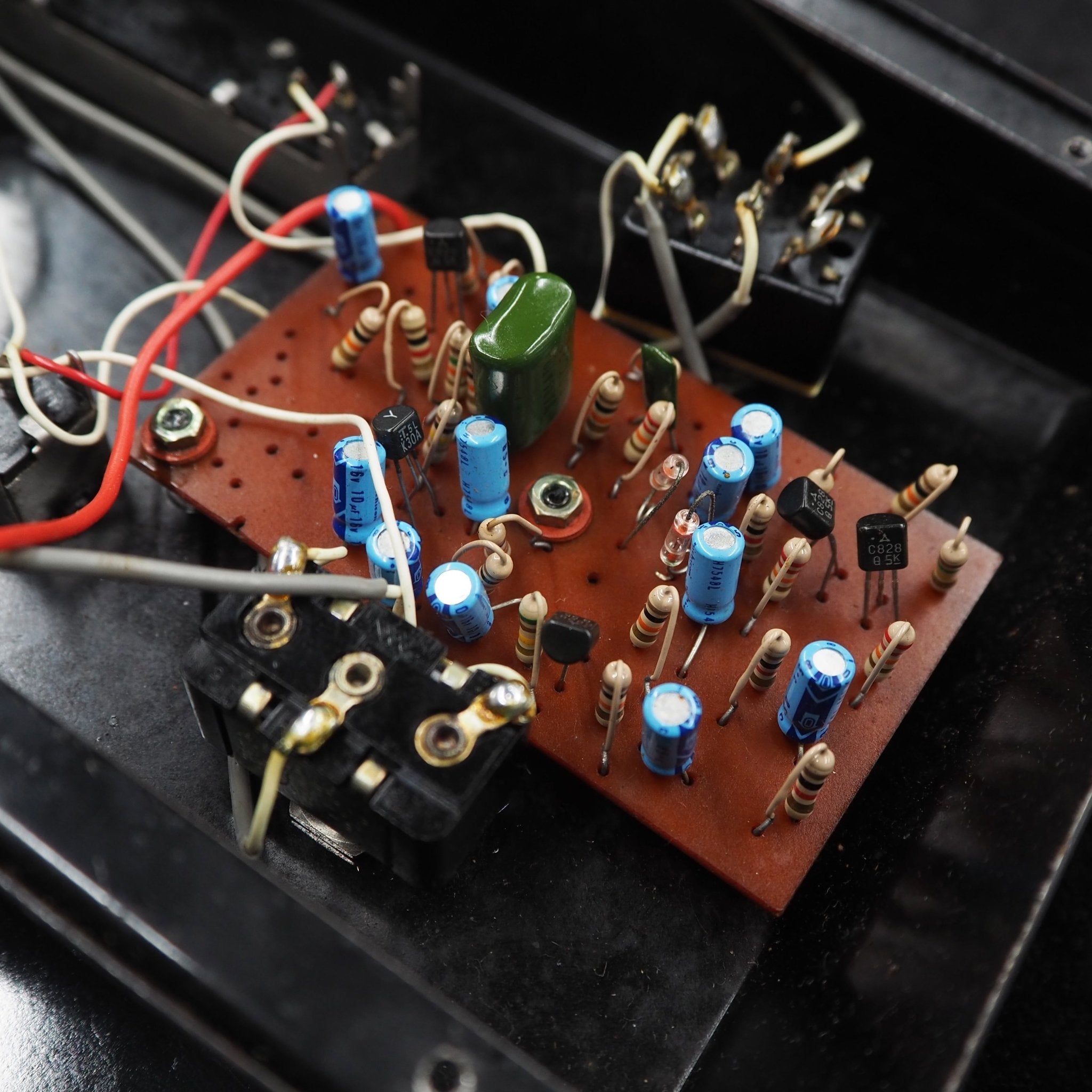 Standard Fuzz - TC楽器 - TCGAKKI