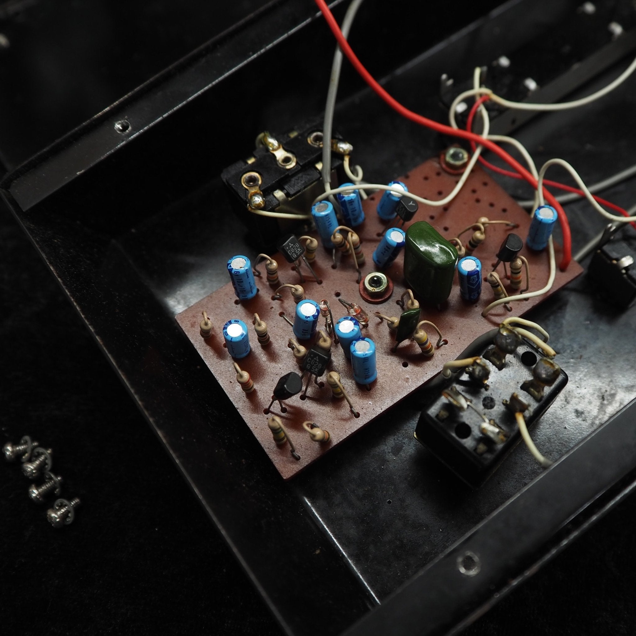 Standard Fuzz - TC楽器 - TCGAKKI