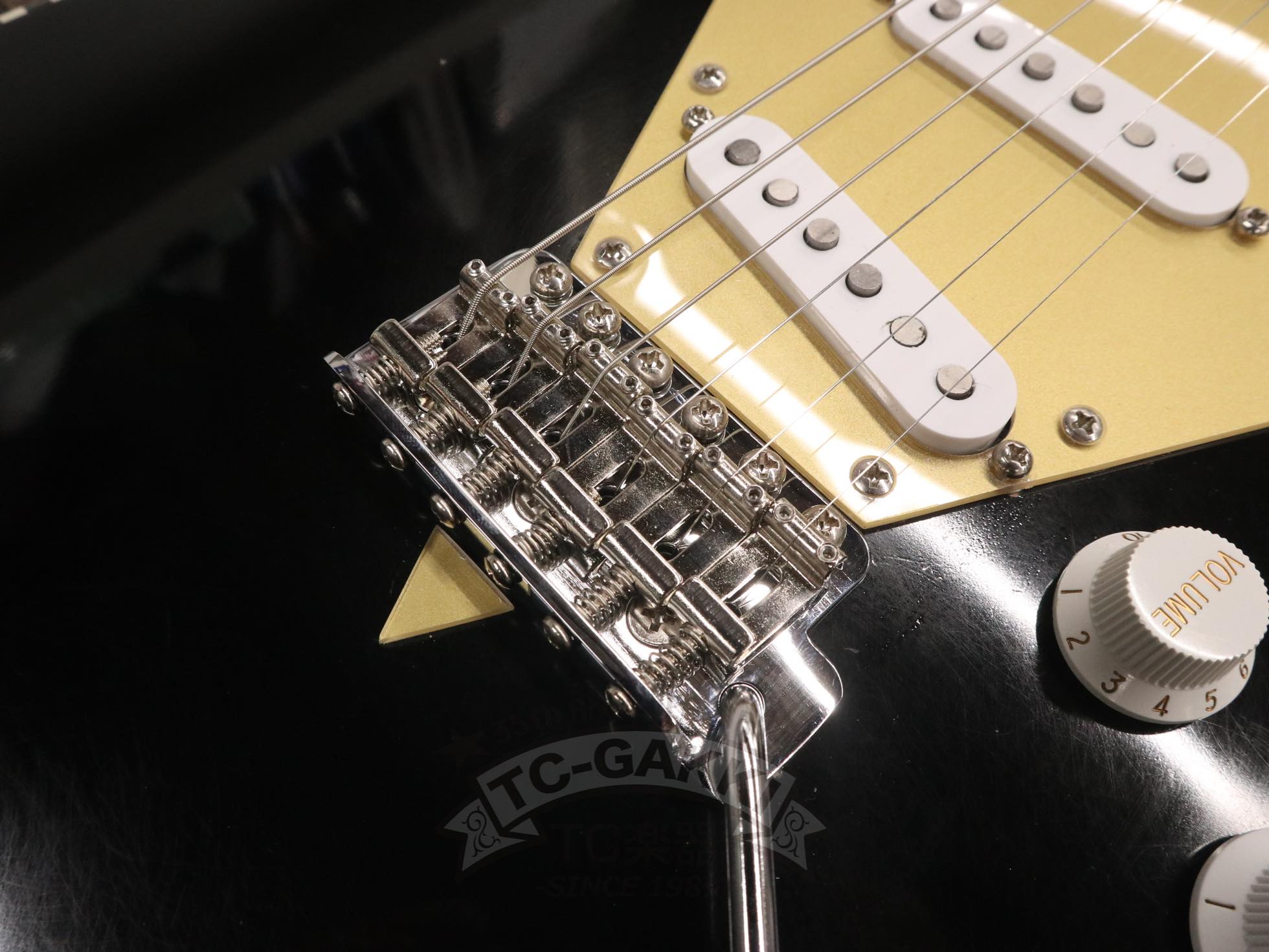 STC1 - TC楽器 - TCGAKKI