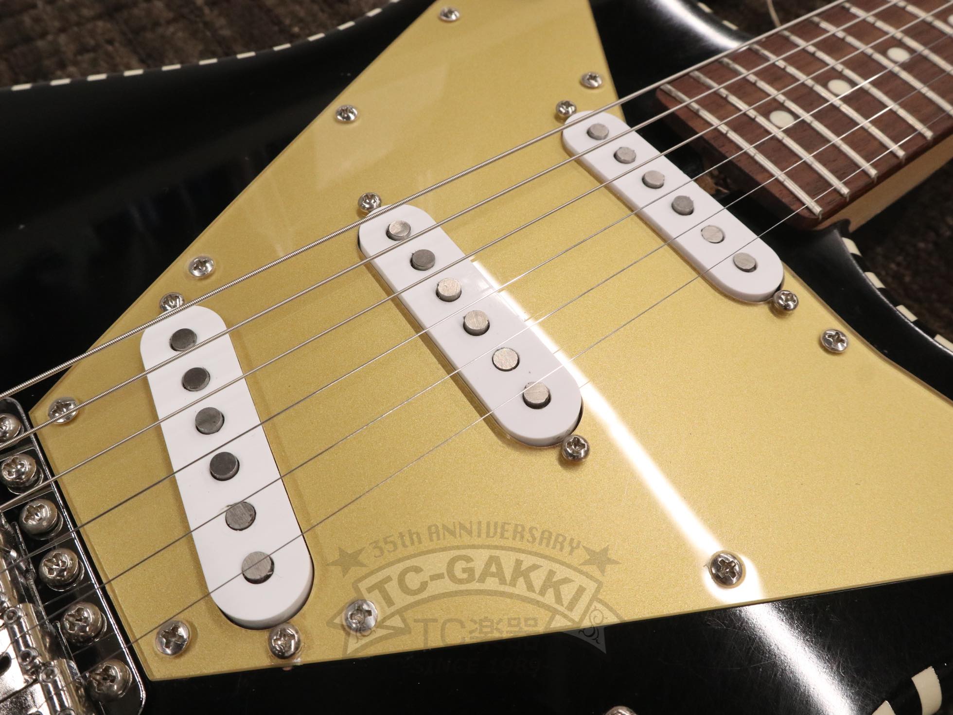 STC1 - TC楽器 - TCGAKKI