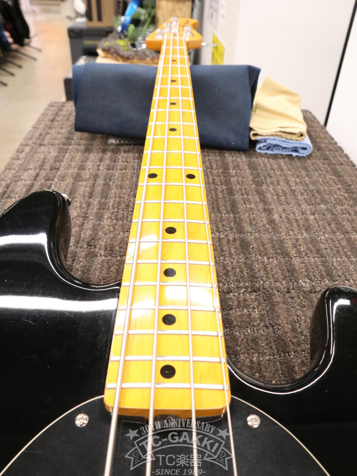 Sterling by MUSIC MAN Ray 34 CA - TC楽器 - TCGAKKI