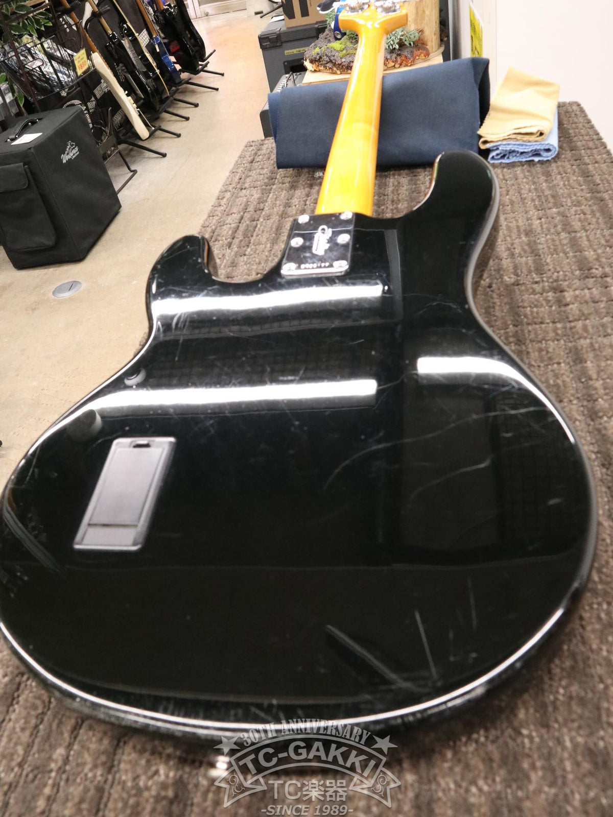 Sterling by MUSIC MAN Ray 34 CA - TC楽器 - TCGAKKI