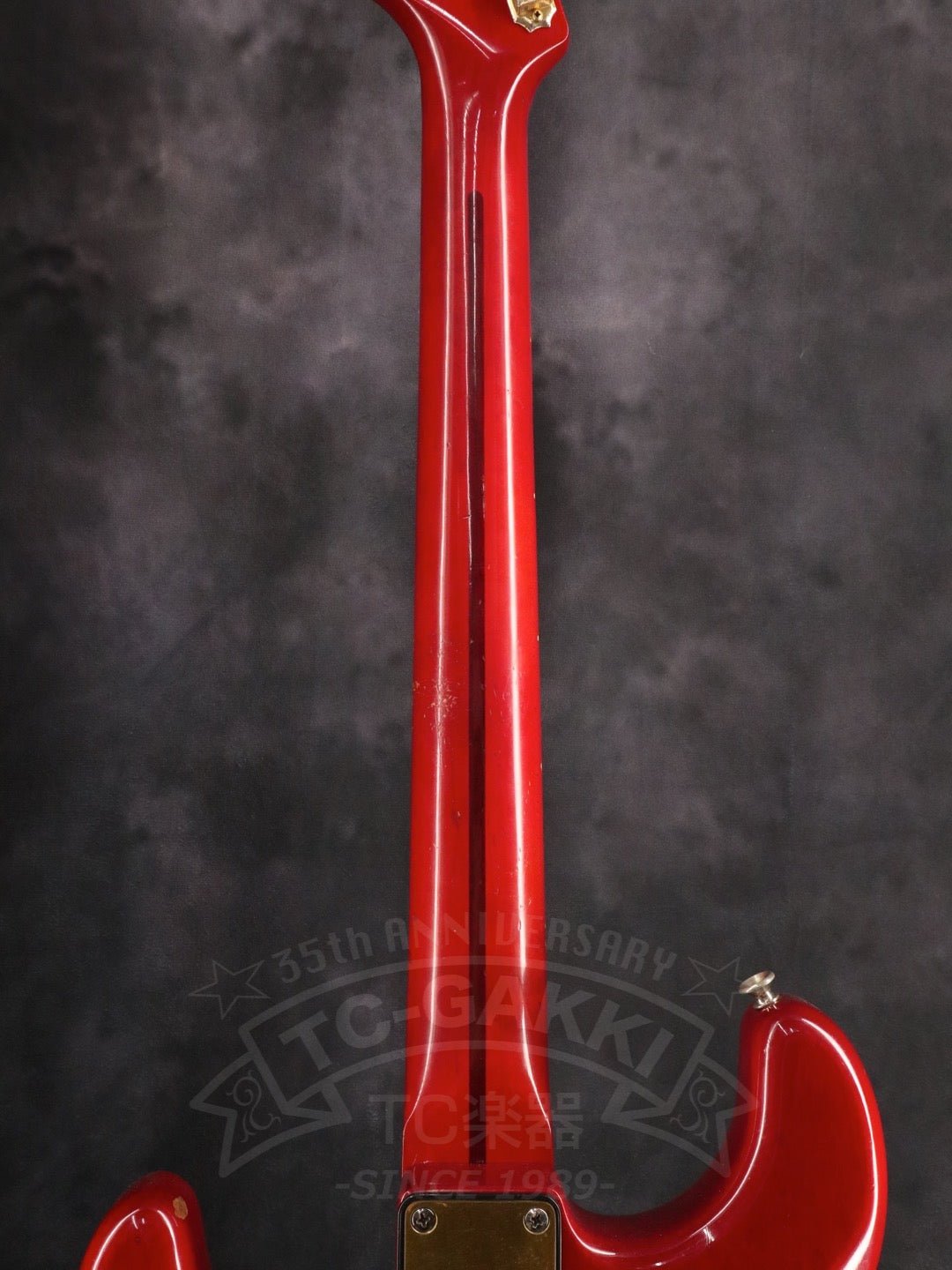 Steve Lukather ST - Type - TC楽器 - TCGAKKI