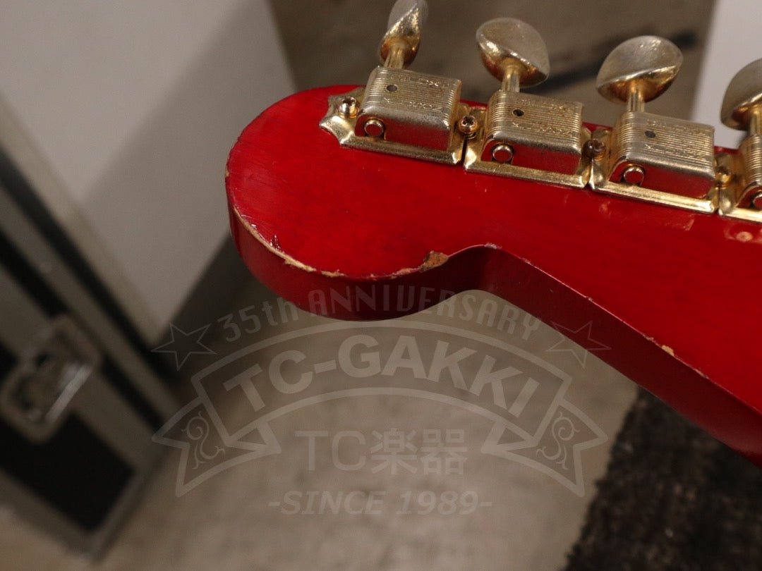 Steve Lukather ST - Type - TC楽器 - TCGAKKI