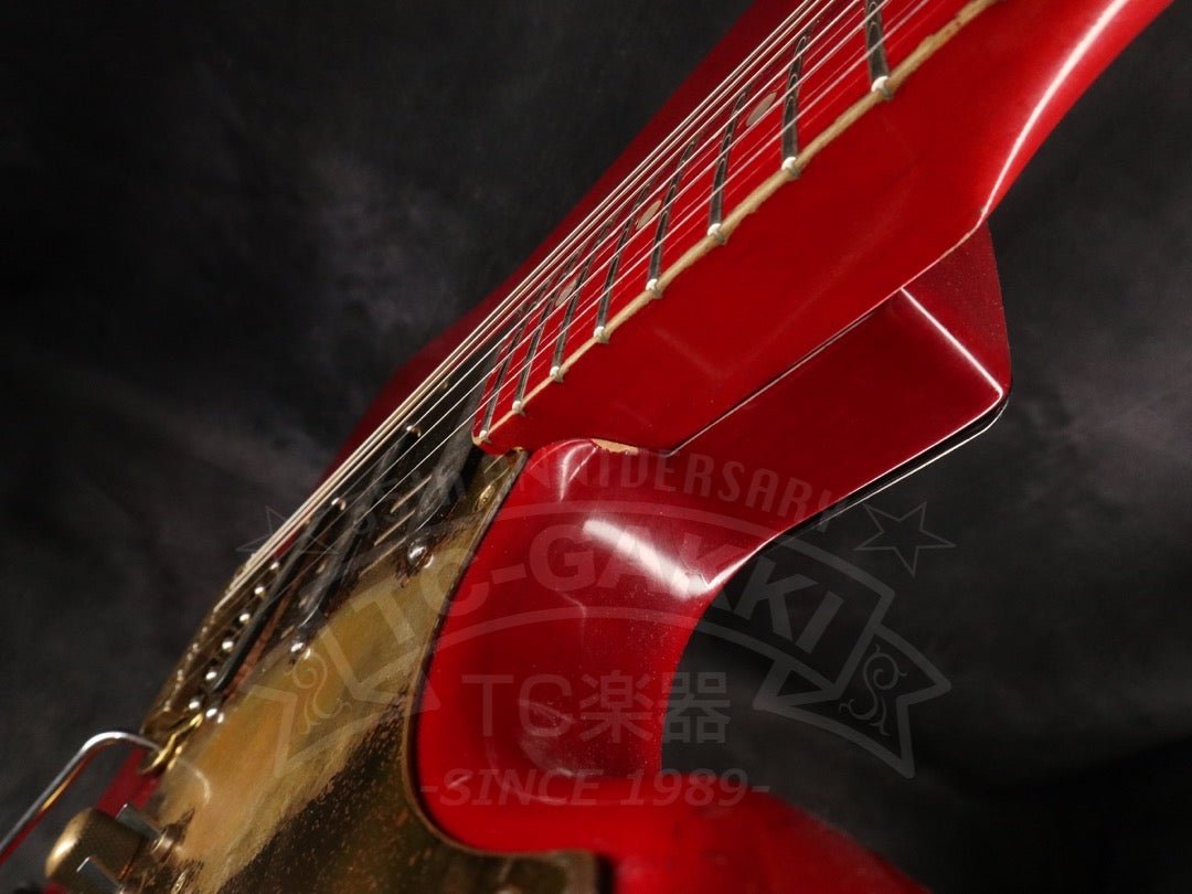 Steve Lukather ST - Type - TC楽器 - TCGAKKI