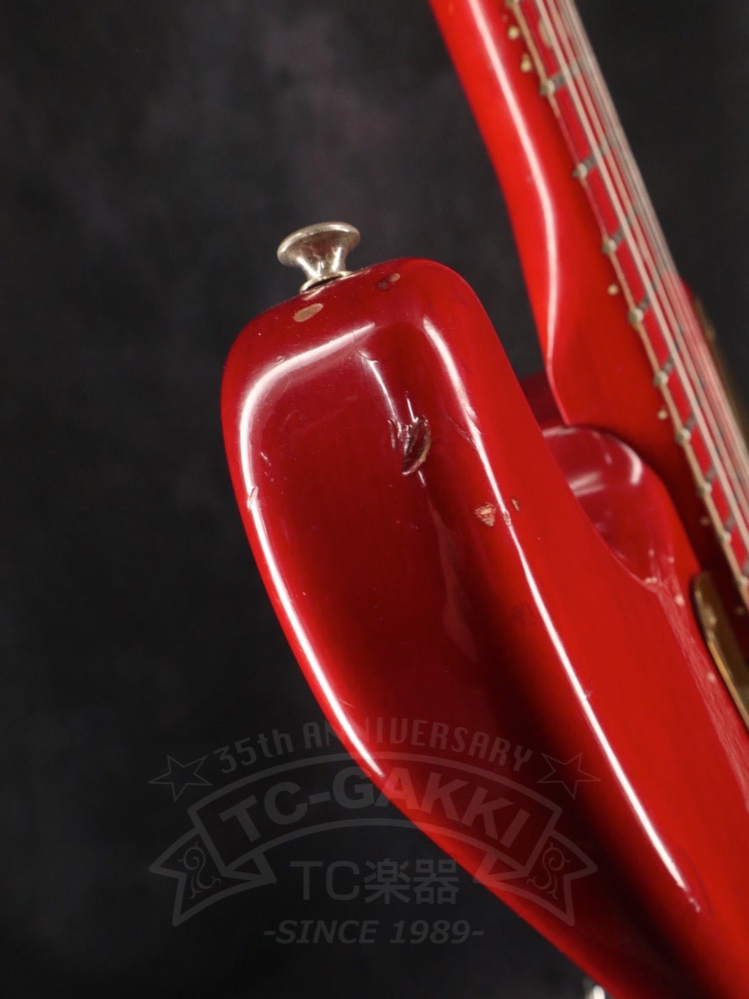 Steve Lukather ST - Type - TC楽器 - TCGAKKI