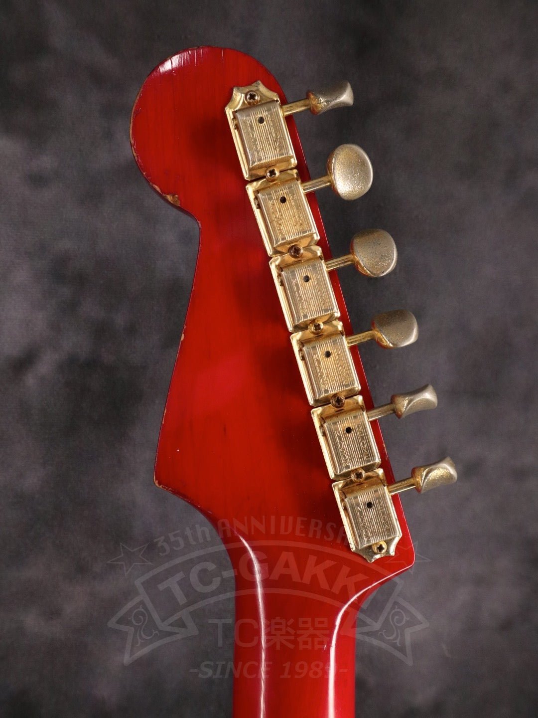 Steve Lukather ST - Type - TC楽器 - TCGAKKI