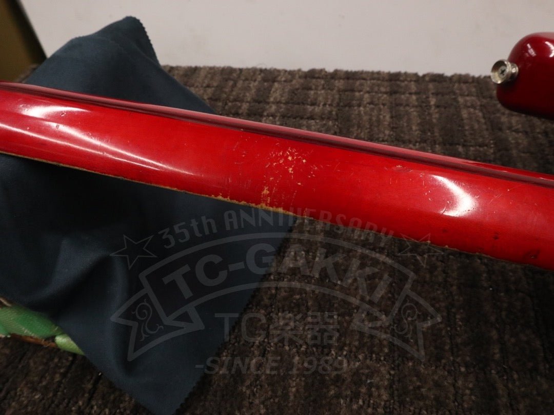 Steve Lukather ST - Type - TC楽器 - TCGAKKI