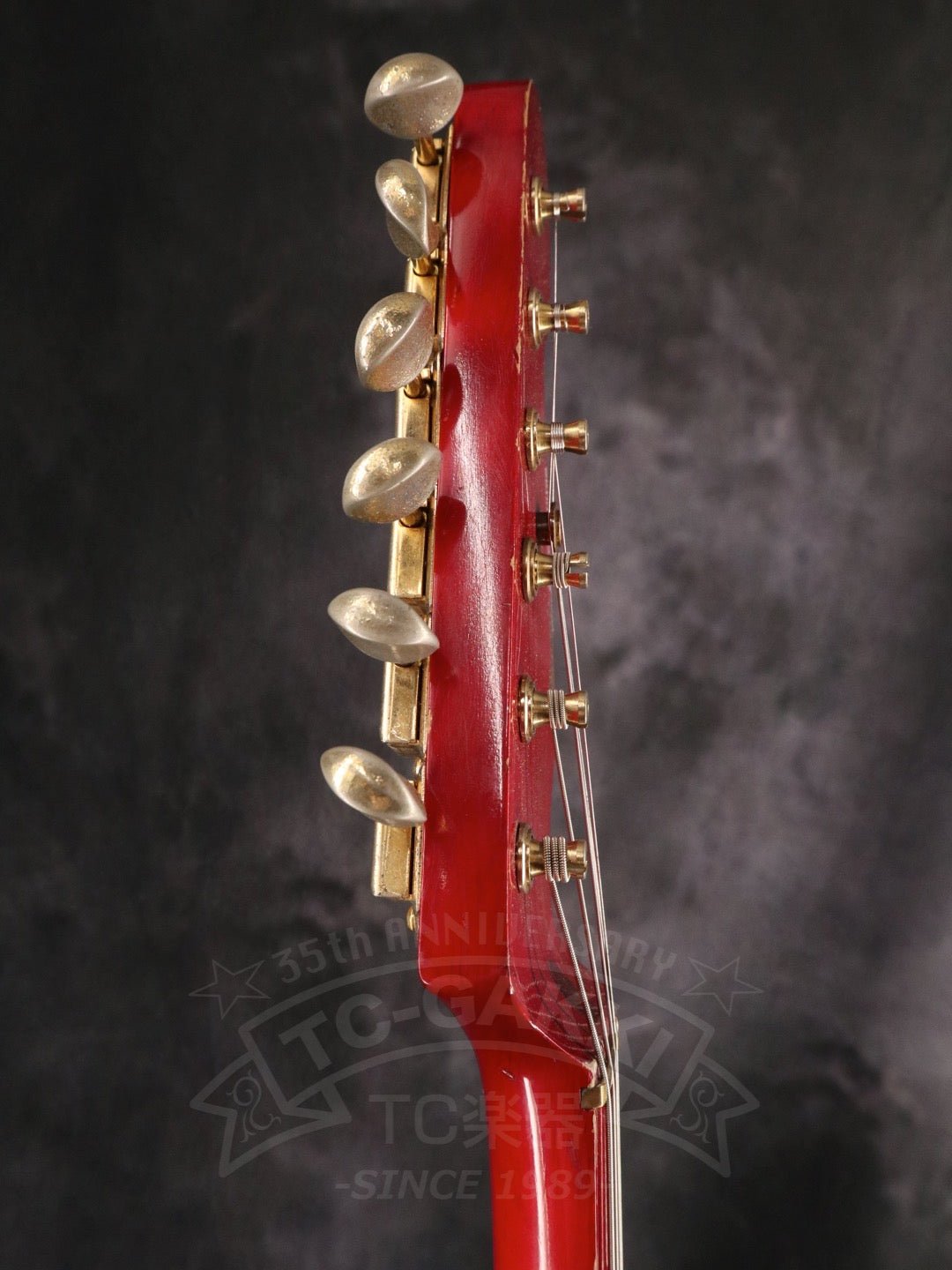 Steve Lukather ST - Type - TC楽器 - TCGAKKI