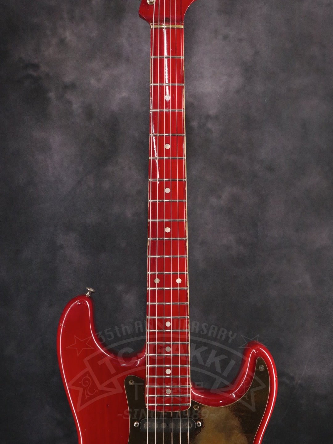 Steve Lukather ST - Type - TC楽器 - TCGAKKI