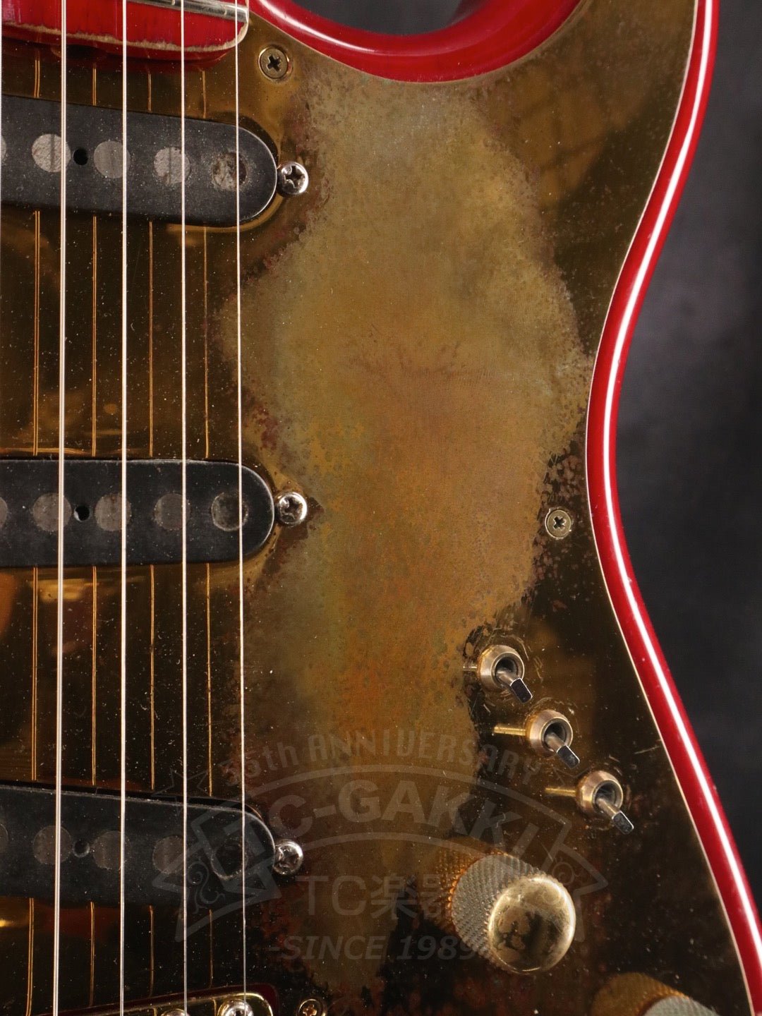 Steve Lukather ST - Type - TC楽器 - TCGAKKI