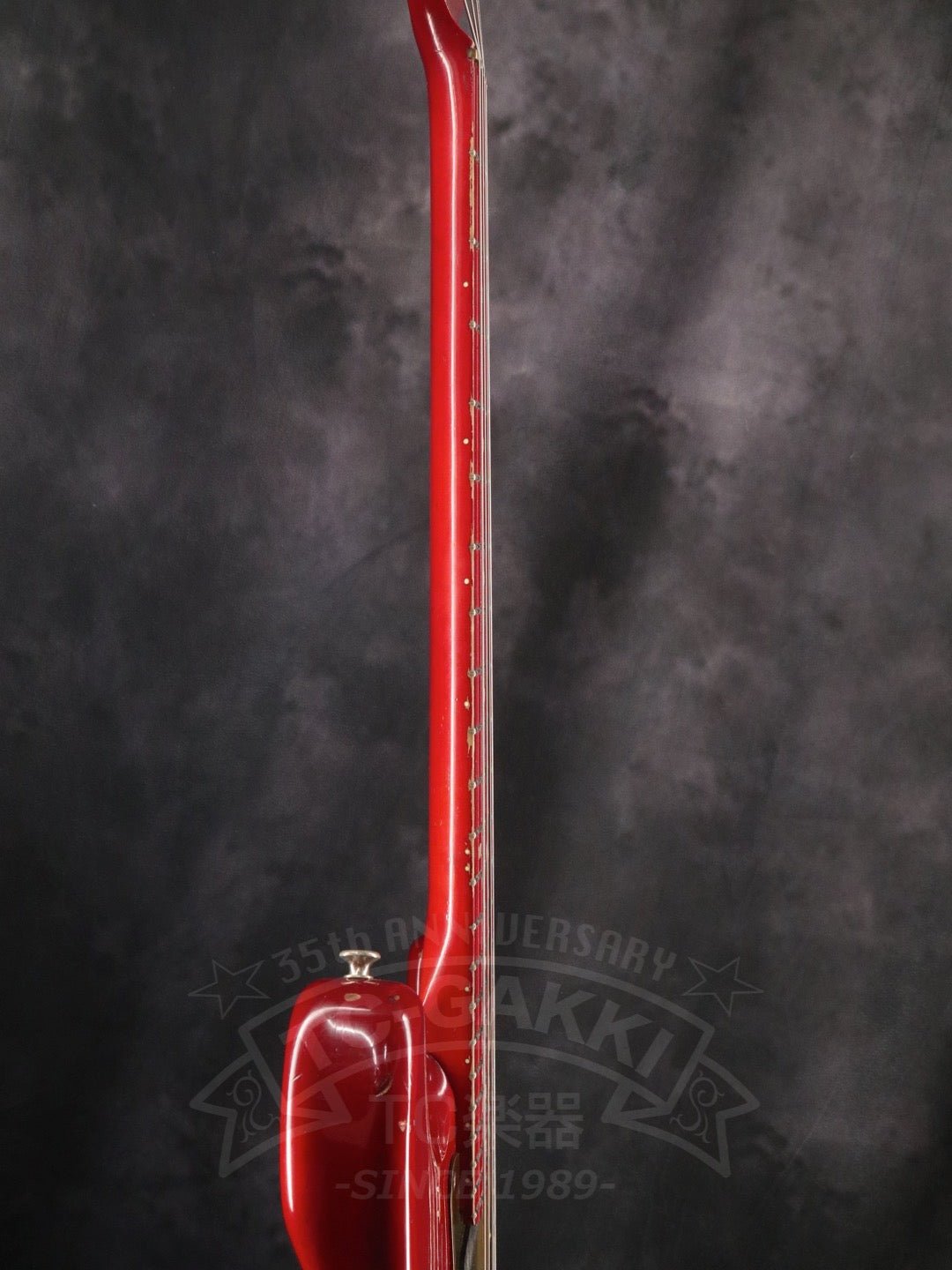 Steve Lukather ST - Type - TC楽器 - TCGAKKI