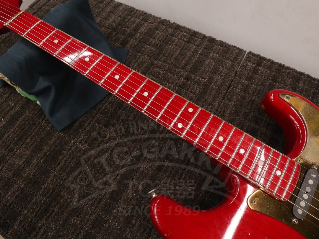 Steve Lukather ST - Type - TC楽器 - TCGAKKI