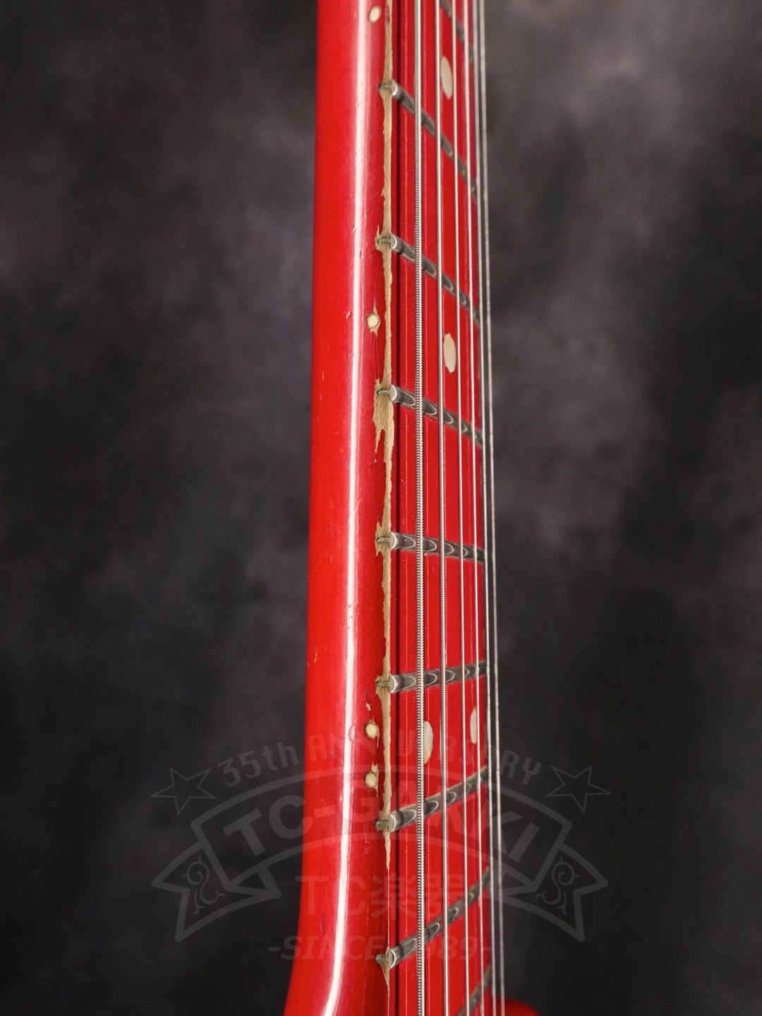 Steve Lukather ST - Type - TC楽器 - TCGAKKI