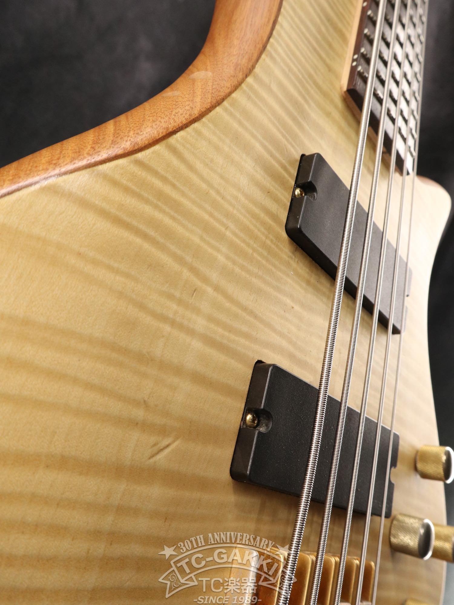 STILETTO CUSTOM - 5 - TC楽器 - TCGAKKI