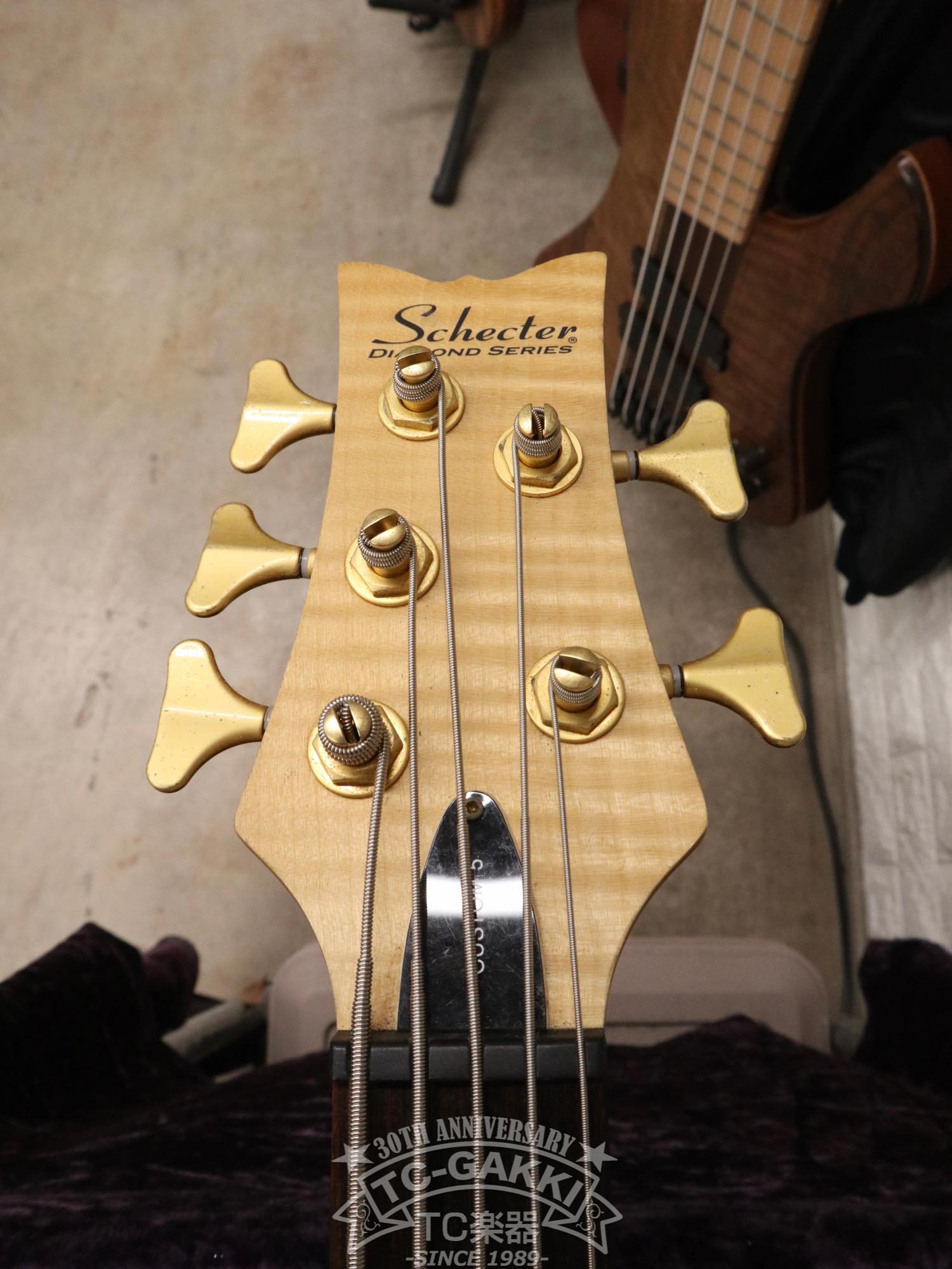 STILETTO CUSTOM - 5 - TC楽器 - TCGAKKI