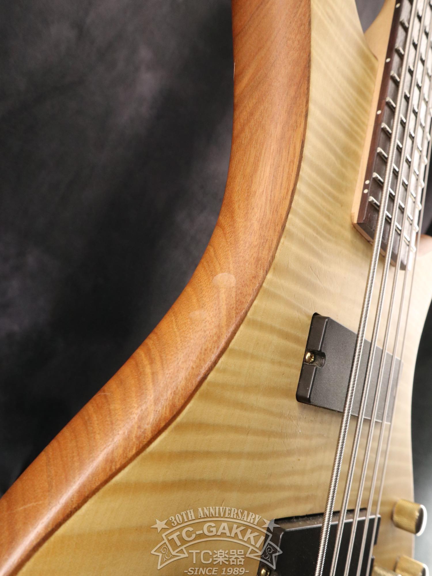 STILETTO CUSTOM - 5 - TC楽器 - TCGAKKI