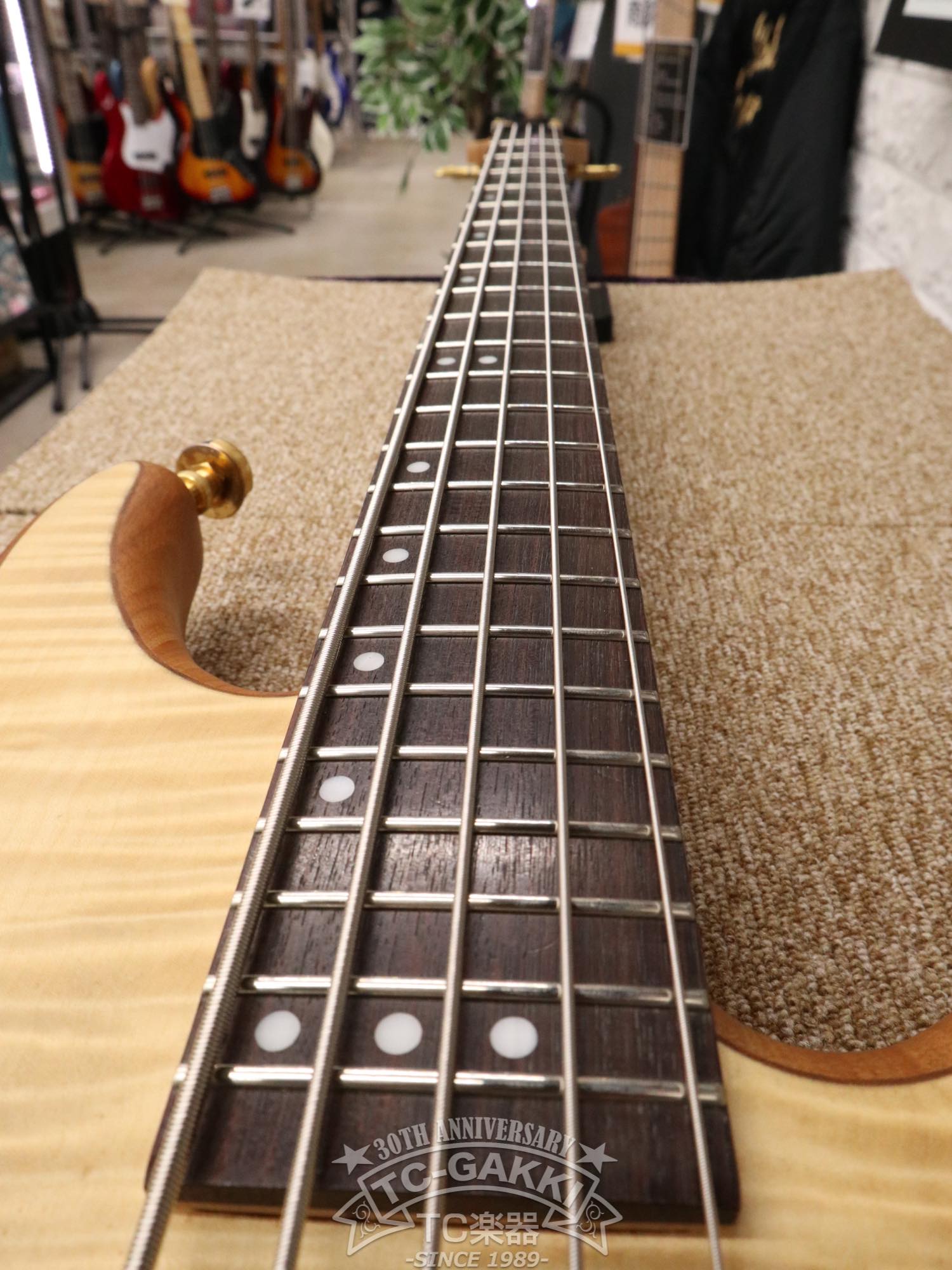 STILETTO CUSTOM - 5 - TC楽器 - TCGAKKI