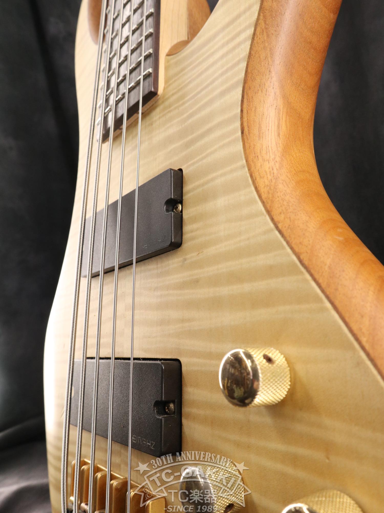 STILETTO CUSTOM - 5 - TC楽器 - TCGAKKI