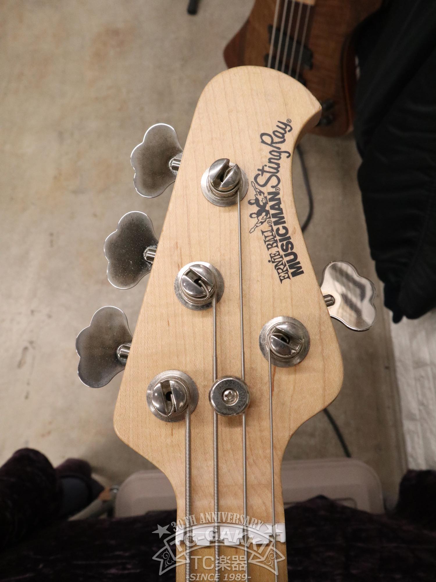 StingRay 2EQ - TC楽器 - TCGAKKI