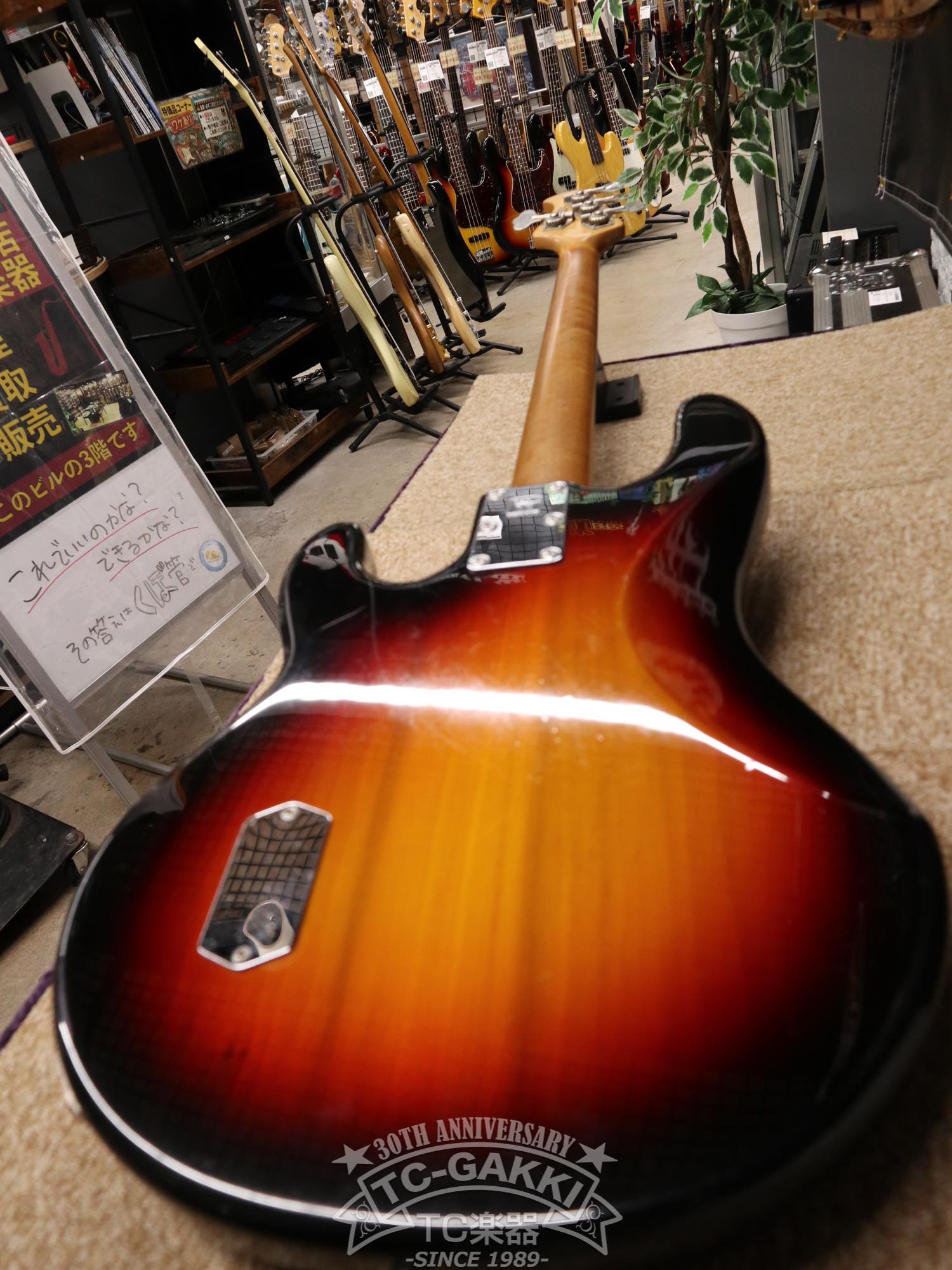 StingRay 4 Mod. - TC楽器 - TCGAKKI