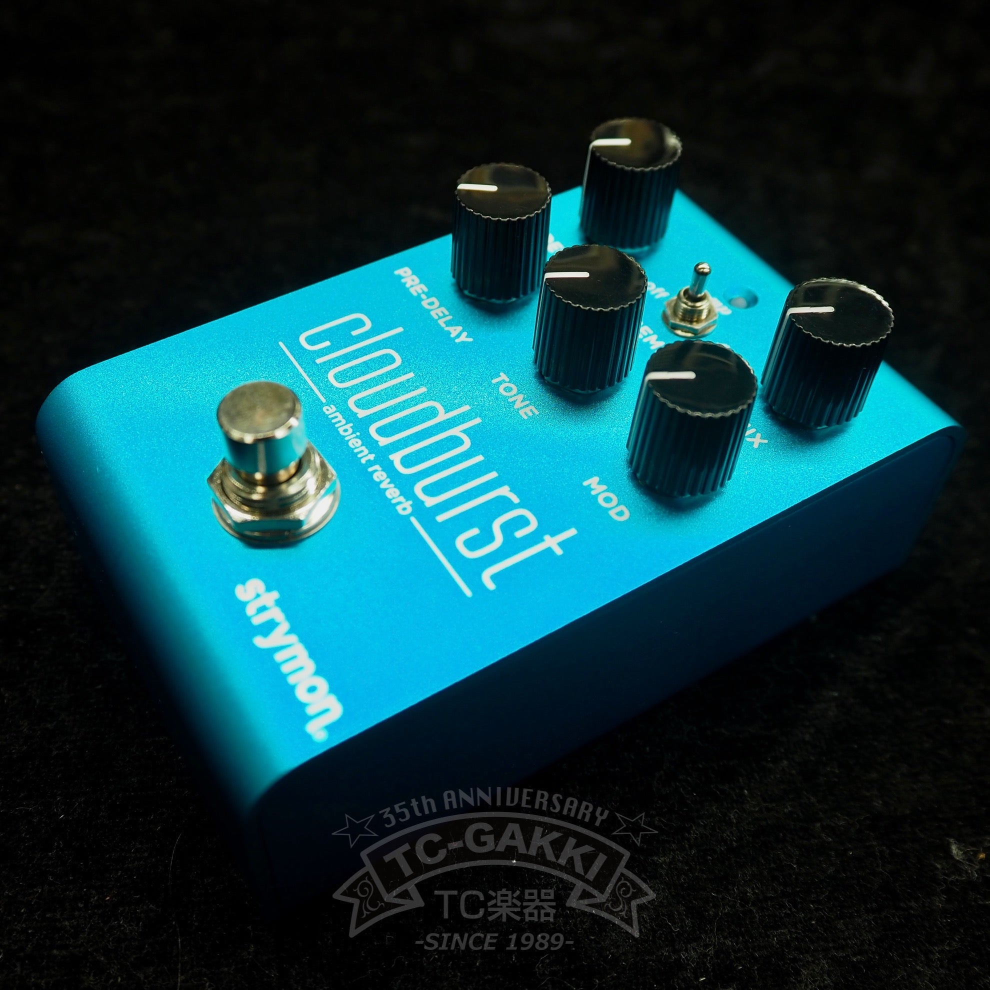strymon cloudburst ambient reverb + Mini Switch