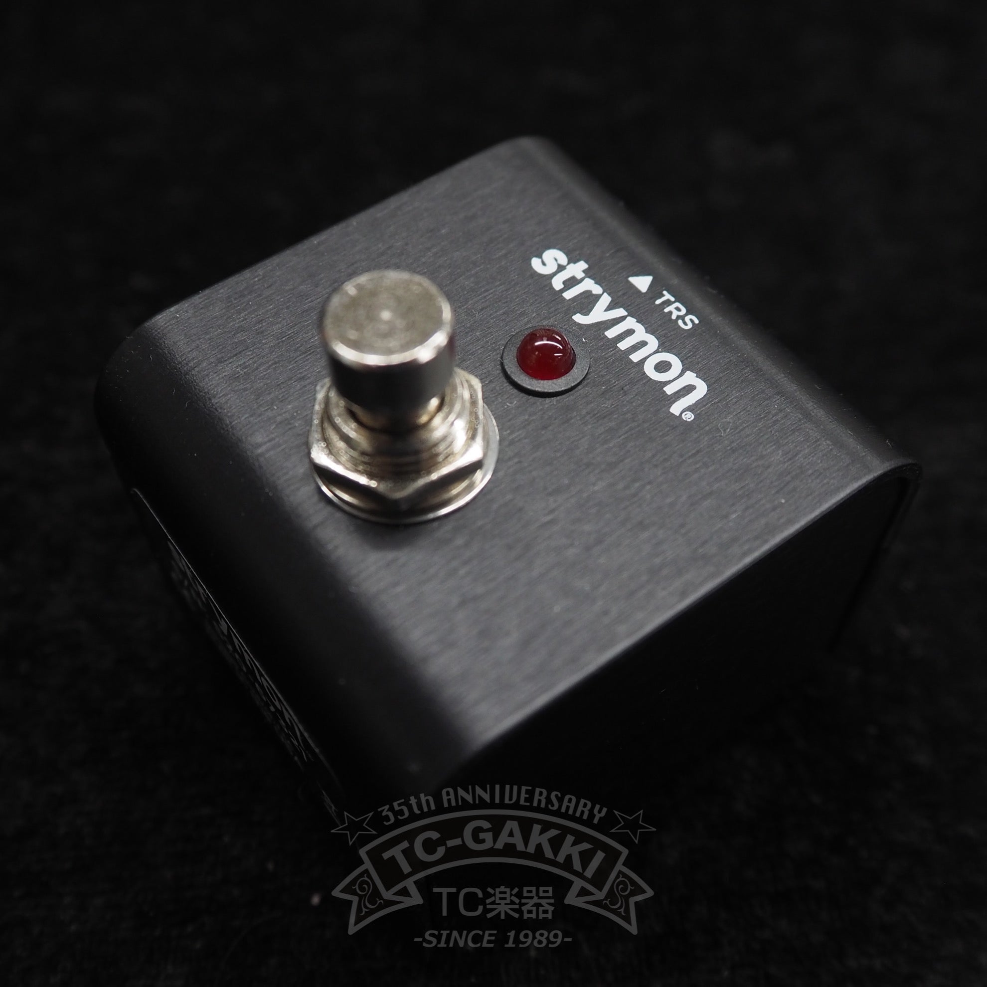 strymon cloudburst ambient reverb + Mini Switch - TC楽器 - TCGAKKI