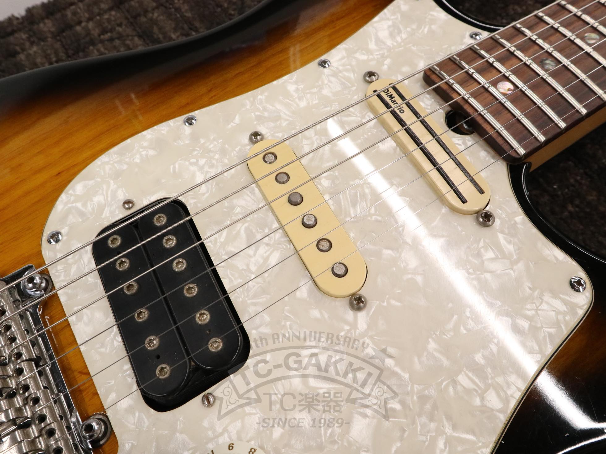 Studio Standard HD - TC楽器 - TCGAKKI