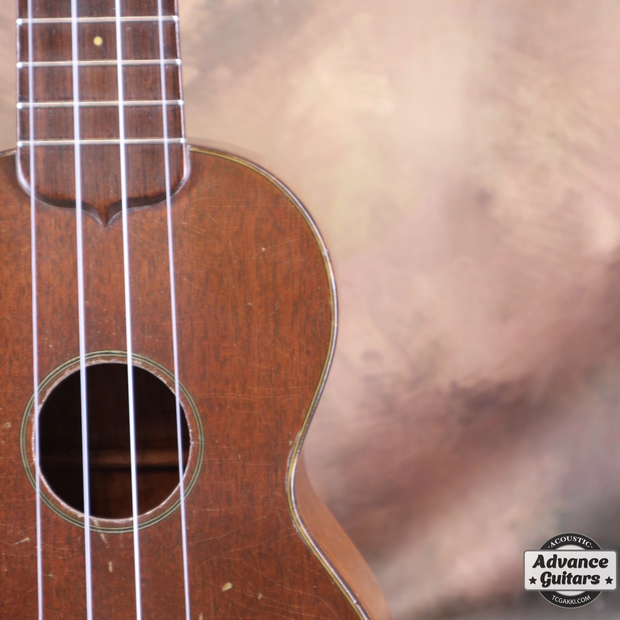 Style - 1 - TC楽器 - TCGAKKI