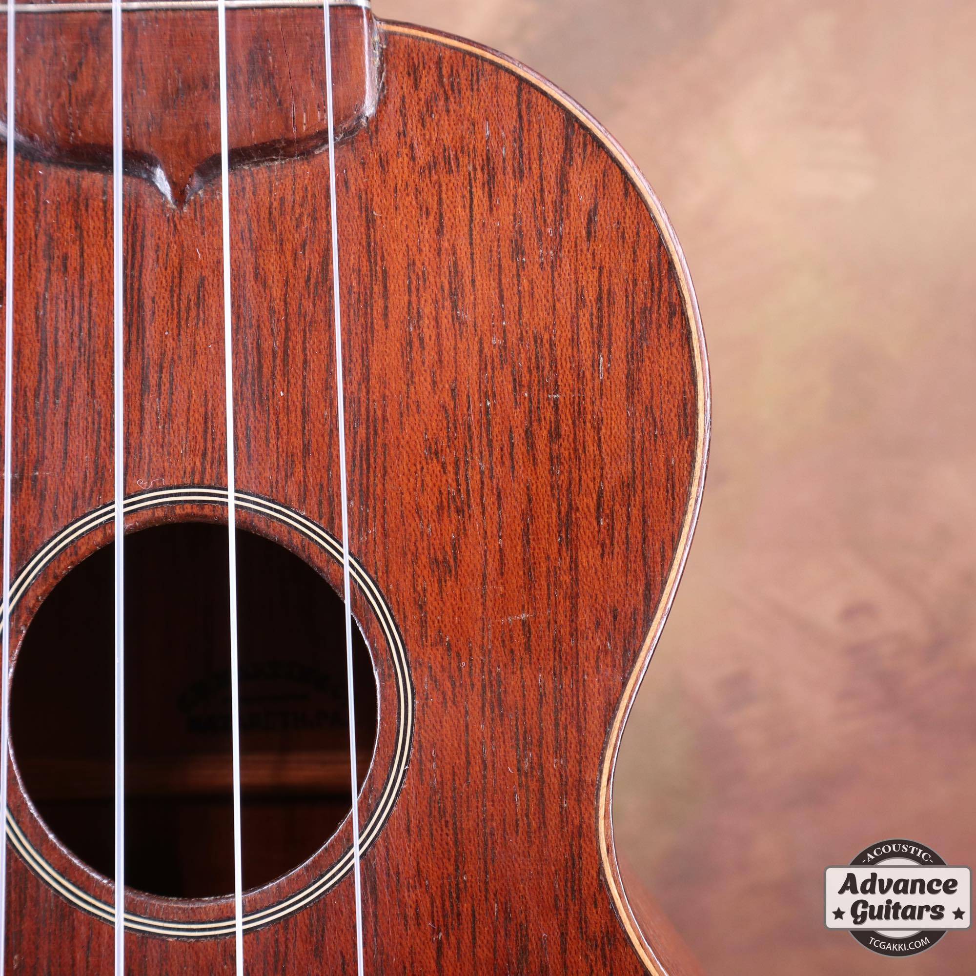 Style - 1 - TC楽器 - TCGAKKI