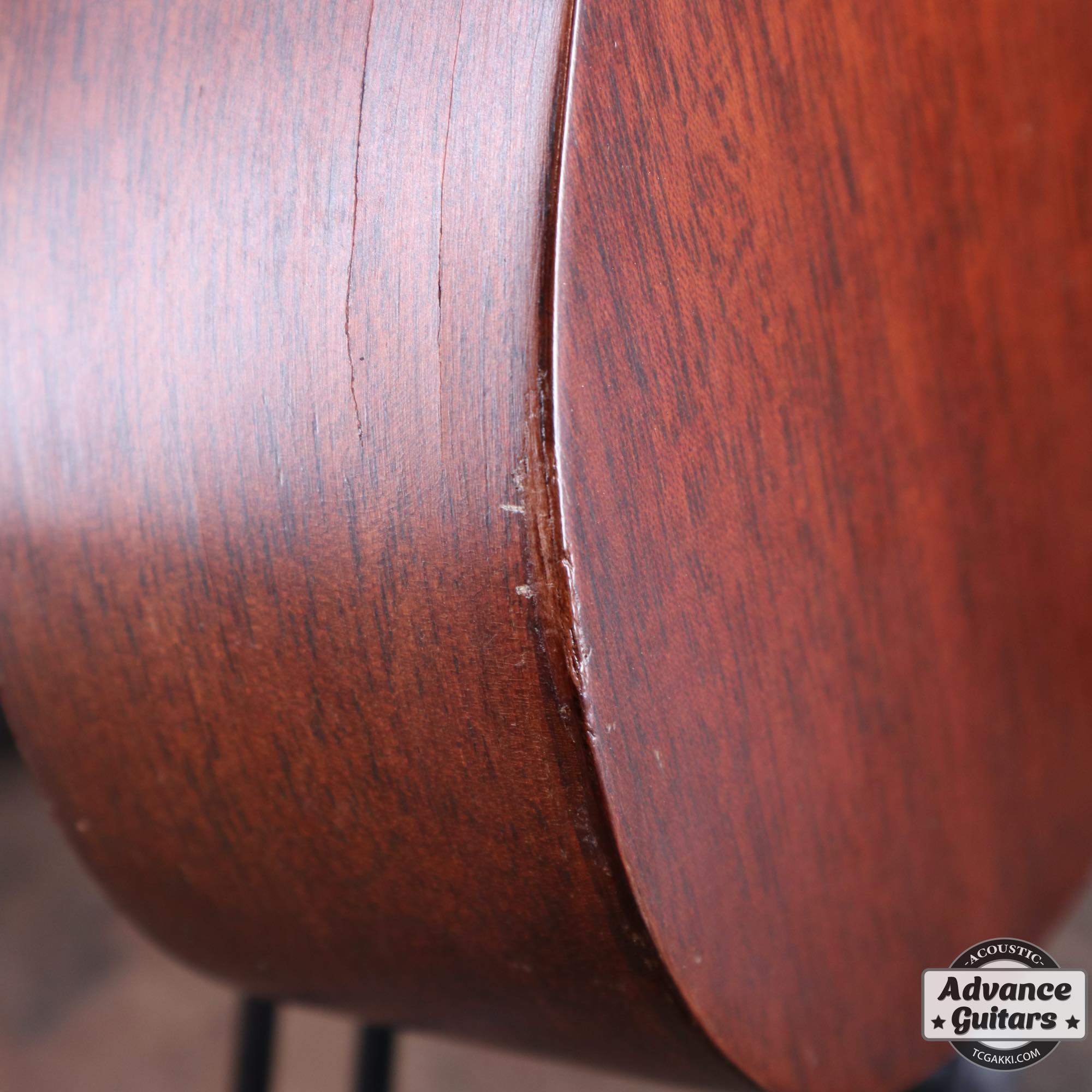 Style - 1 - TC楽器 - TCGAKKI