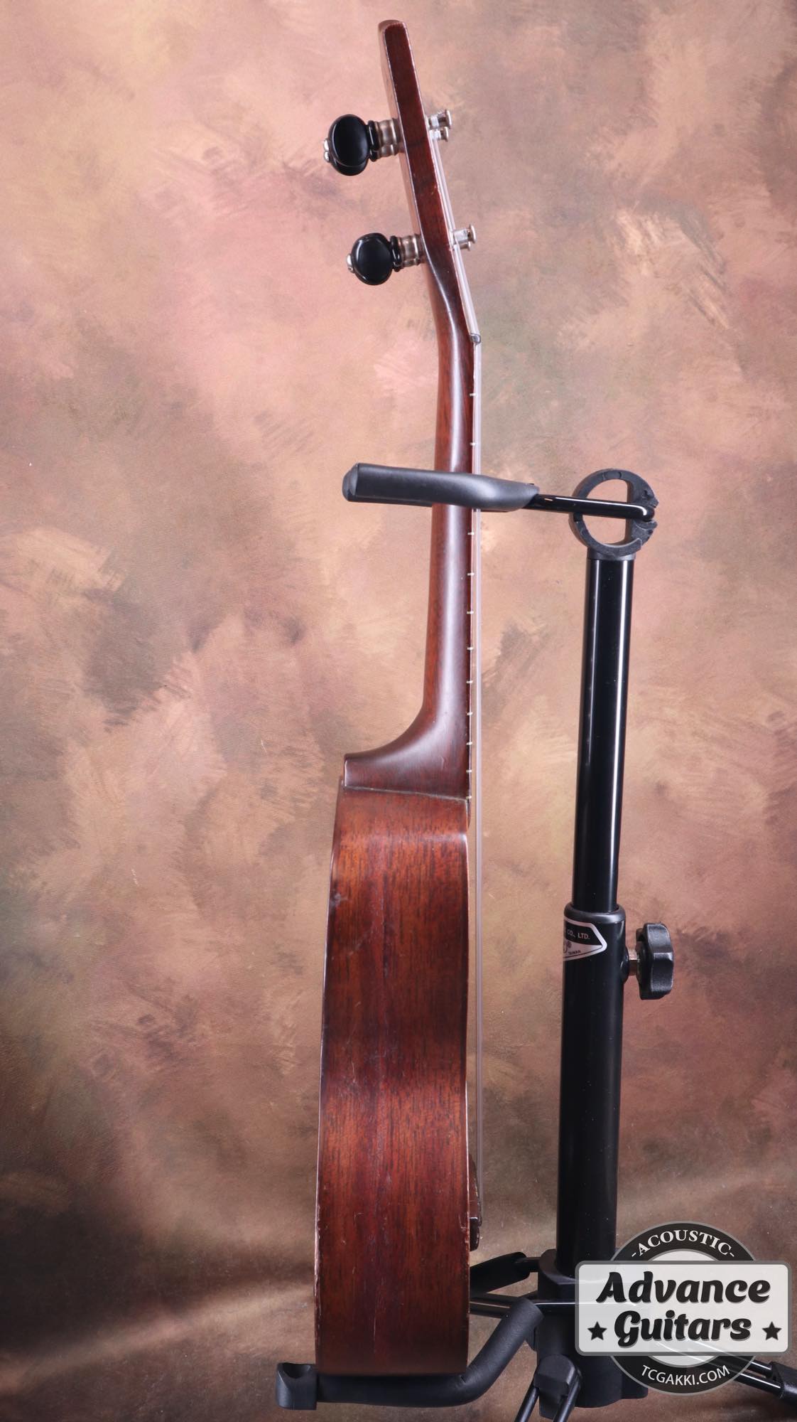 Style - 1 - TC楽器 - TCGAKKI