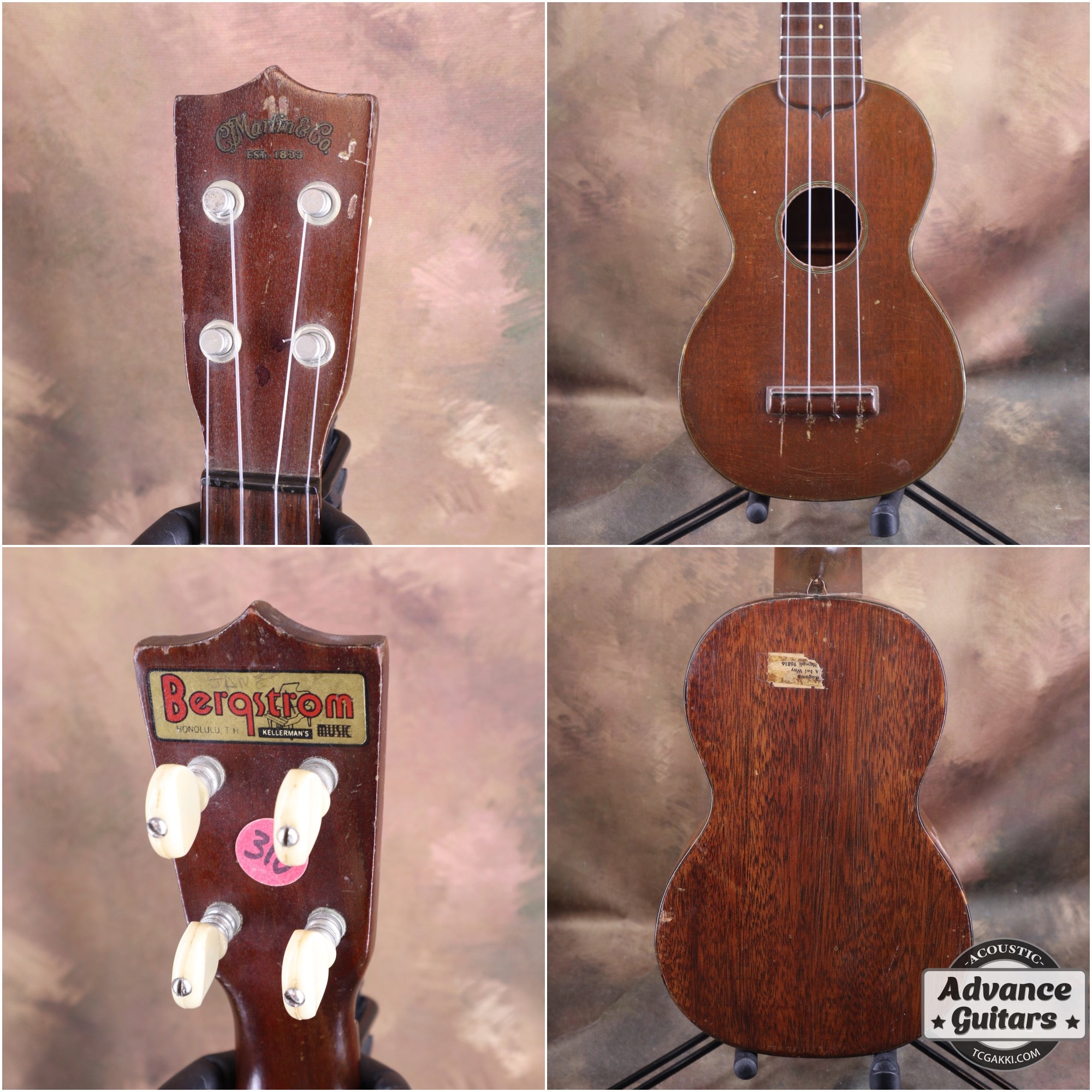 Style - 1 - TC楽器 - TCGAKKI