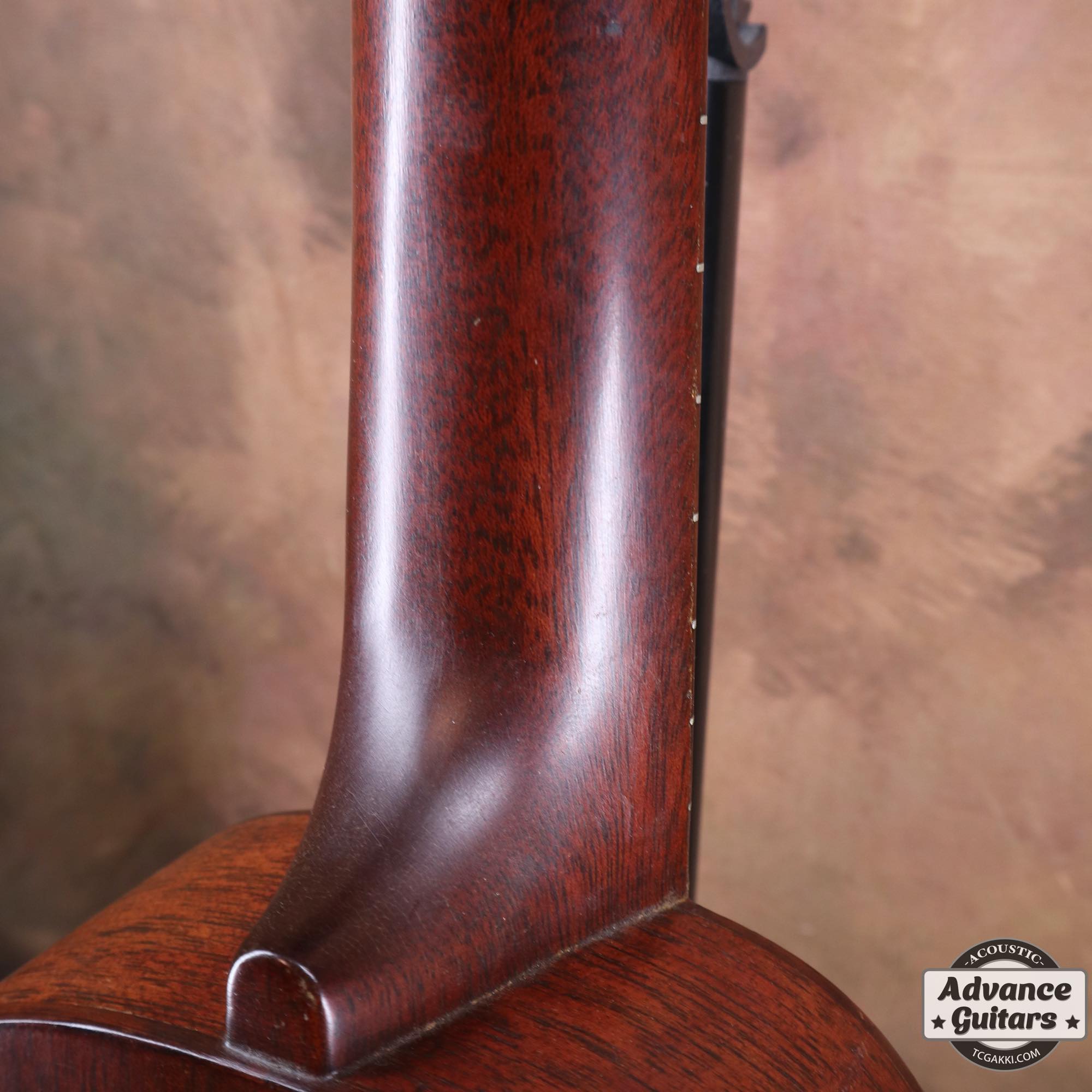 Style - 1 - TC楽器 - TCGAKKI