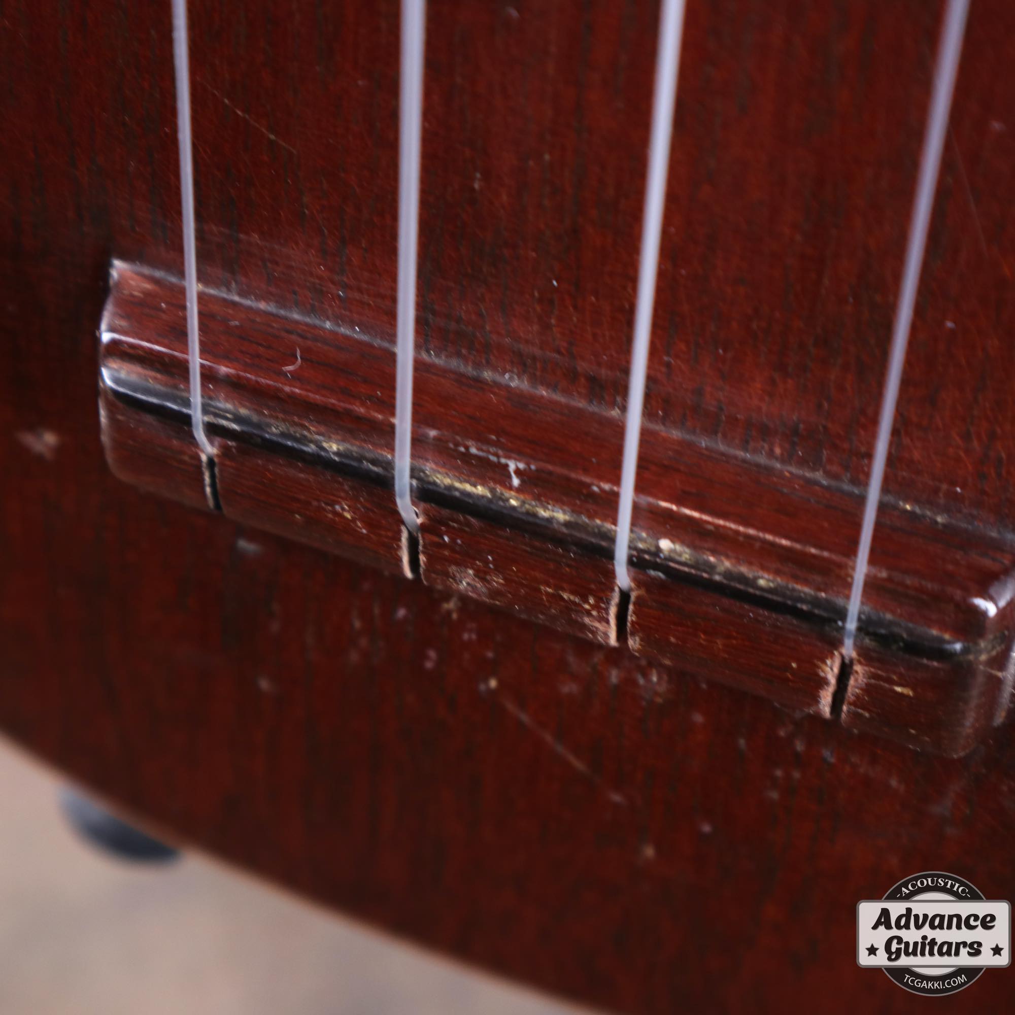 Style - 1 - TC楽器 - TCGAKKI