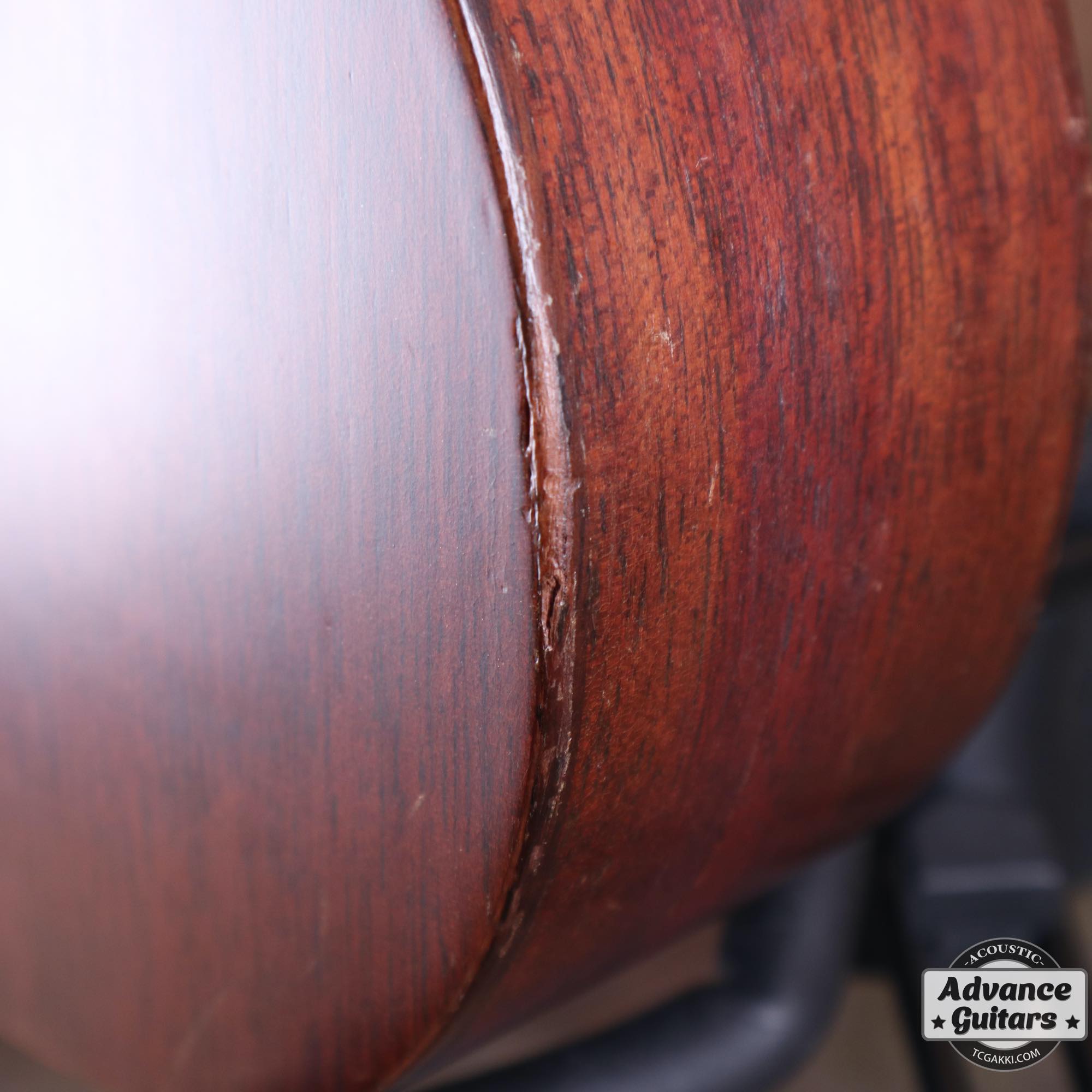 Style - 1 - TC楽器 - TCGAKKI