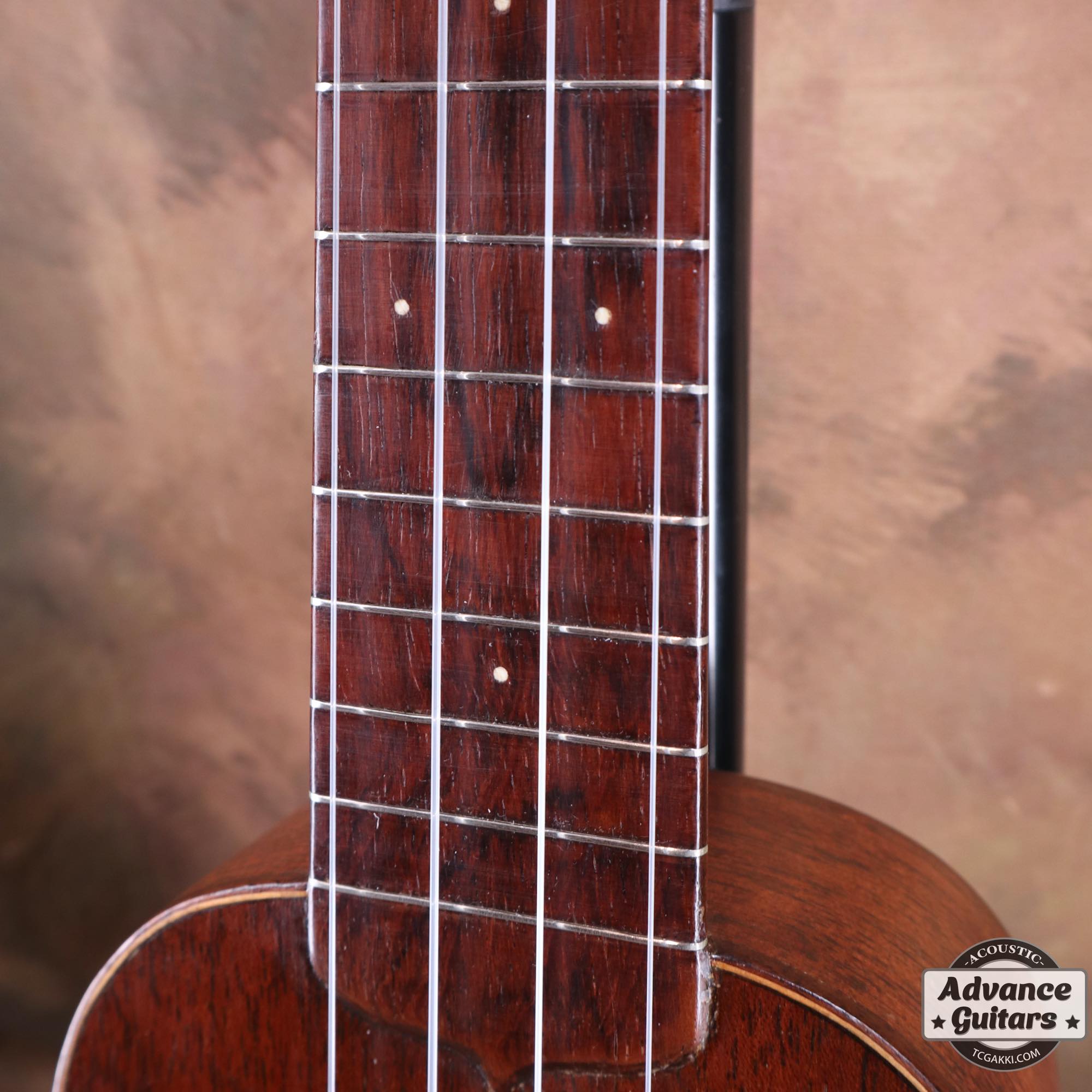 Style - 1 - TC楽器 - TCGAKKI