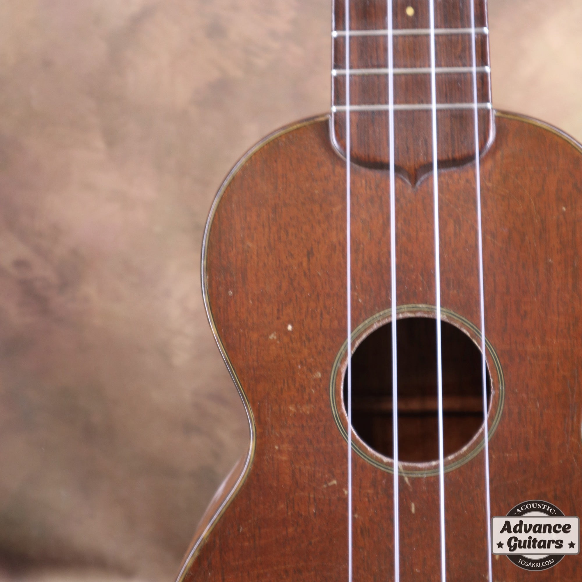 Style - 1 - TC楽器 - TCGAKKI