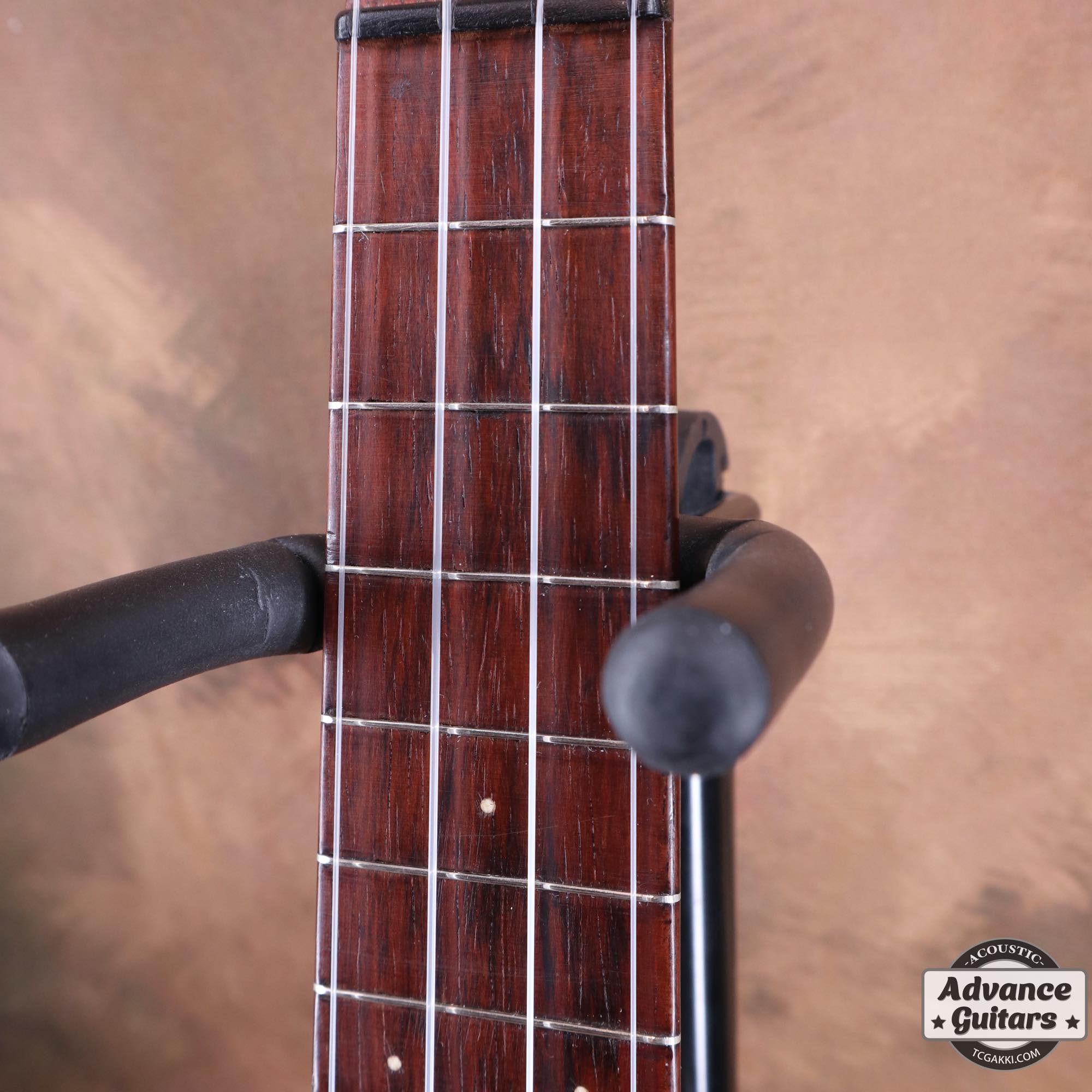 Style - 1 - TC楽器 - TCGAKKI