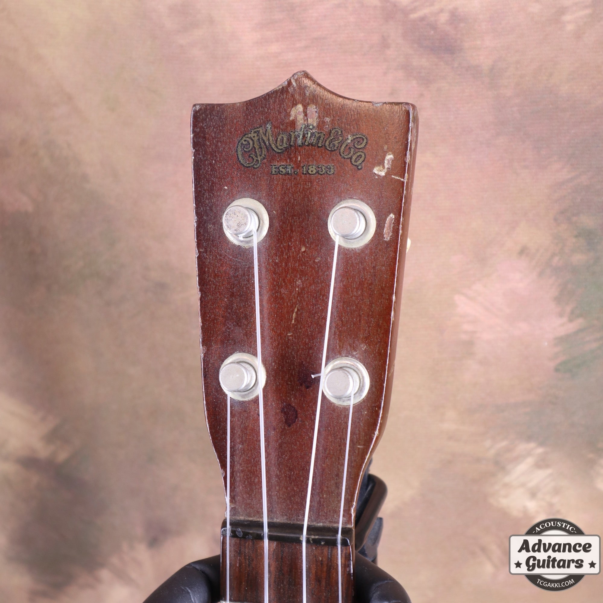 Style - 1 - TC楽器 - TCGAKKI