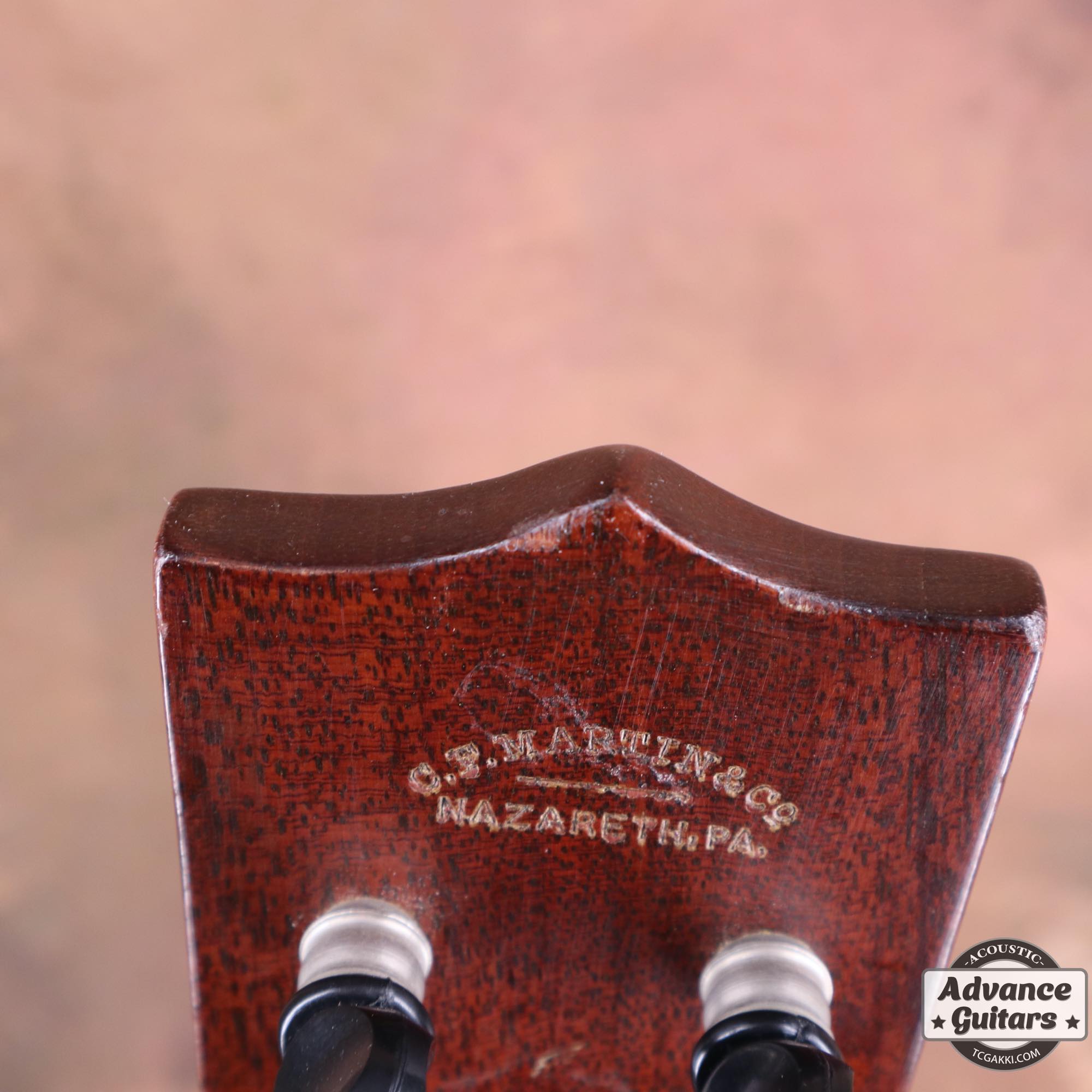 Style - 1 - TC楽器 - TCGAKKI