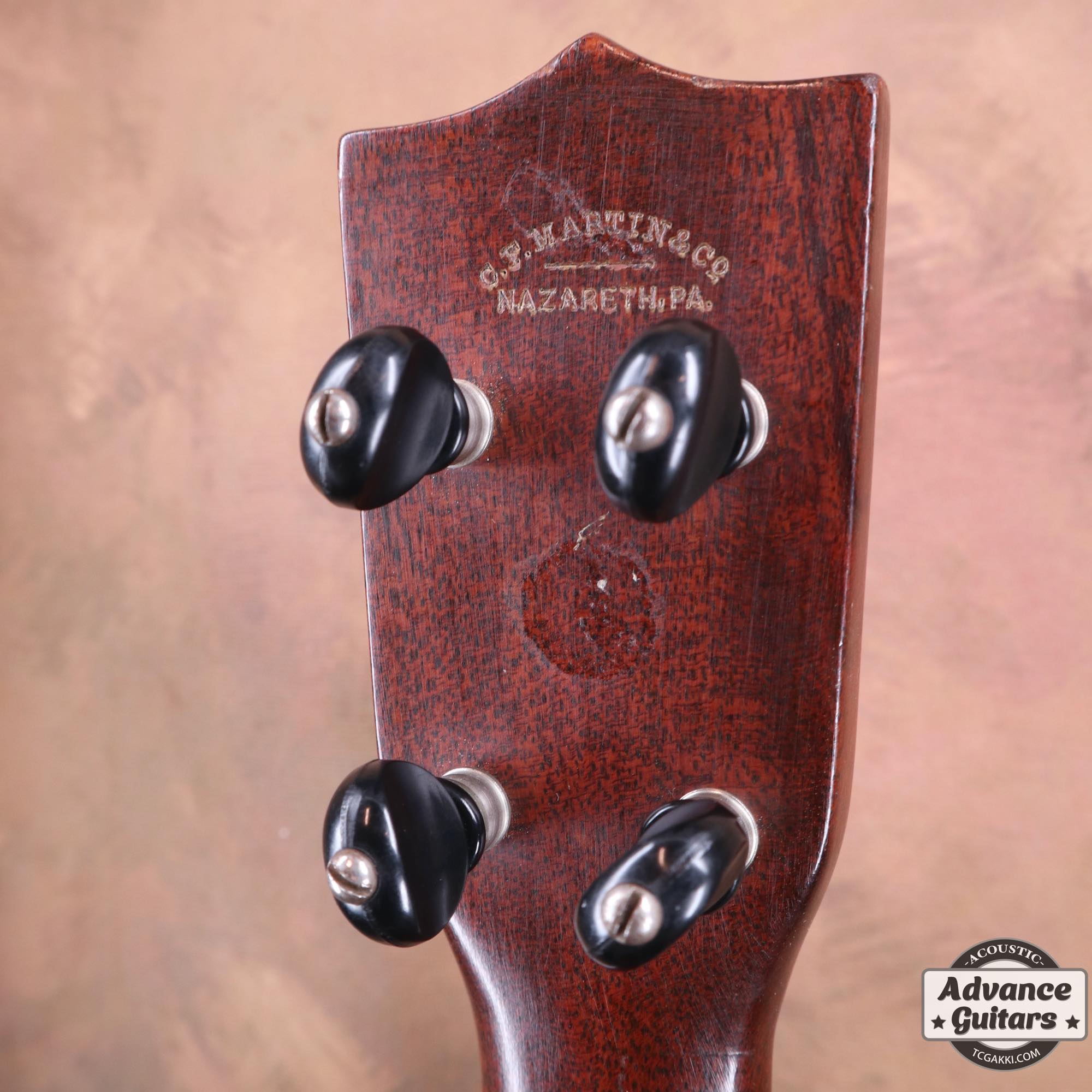 Style - 1 - TC楽器 - TCGAKKI