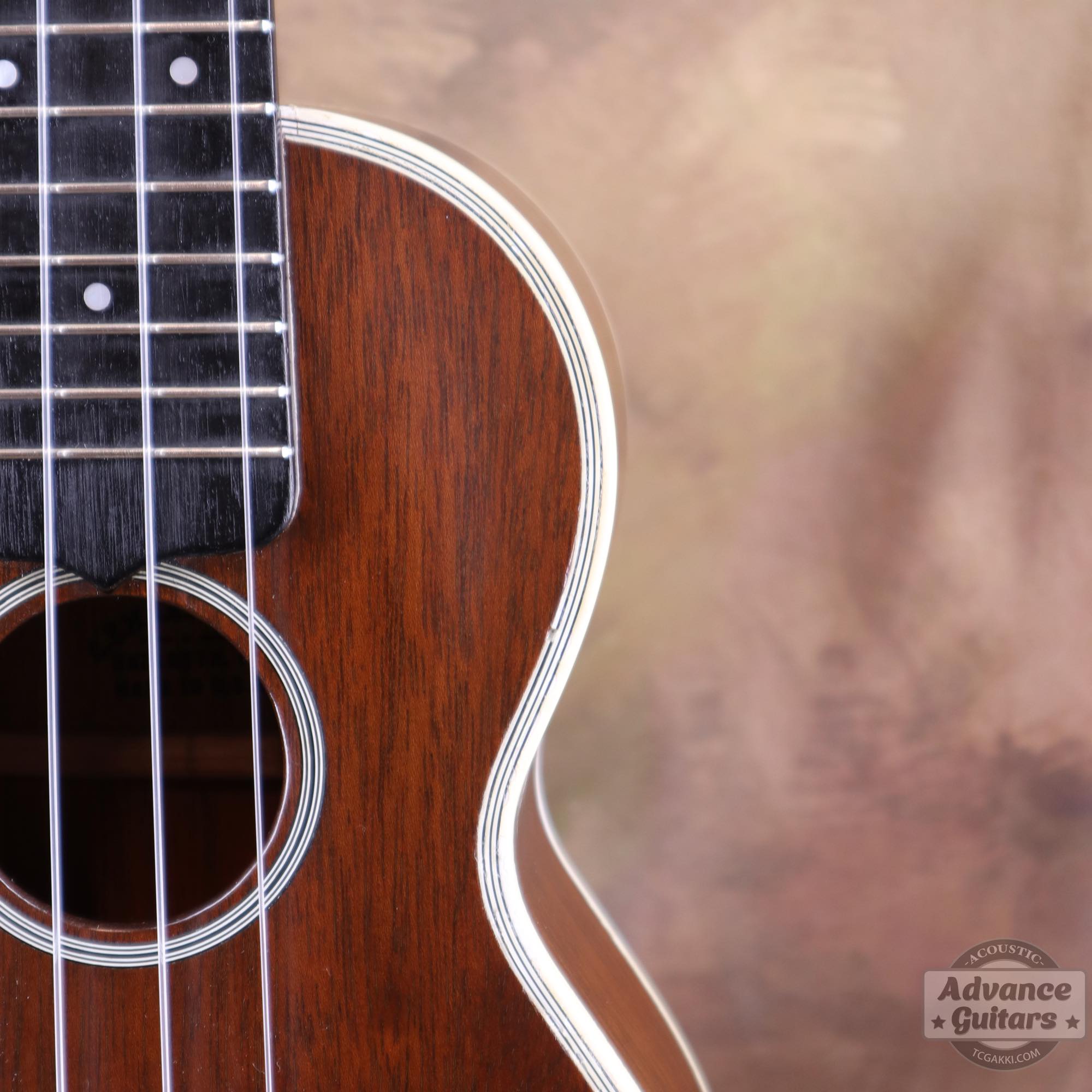 Style - 3M - TC楽器 - TCGAKKI