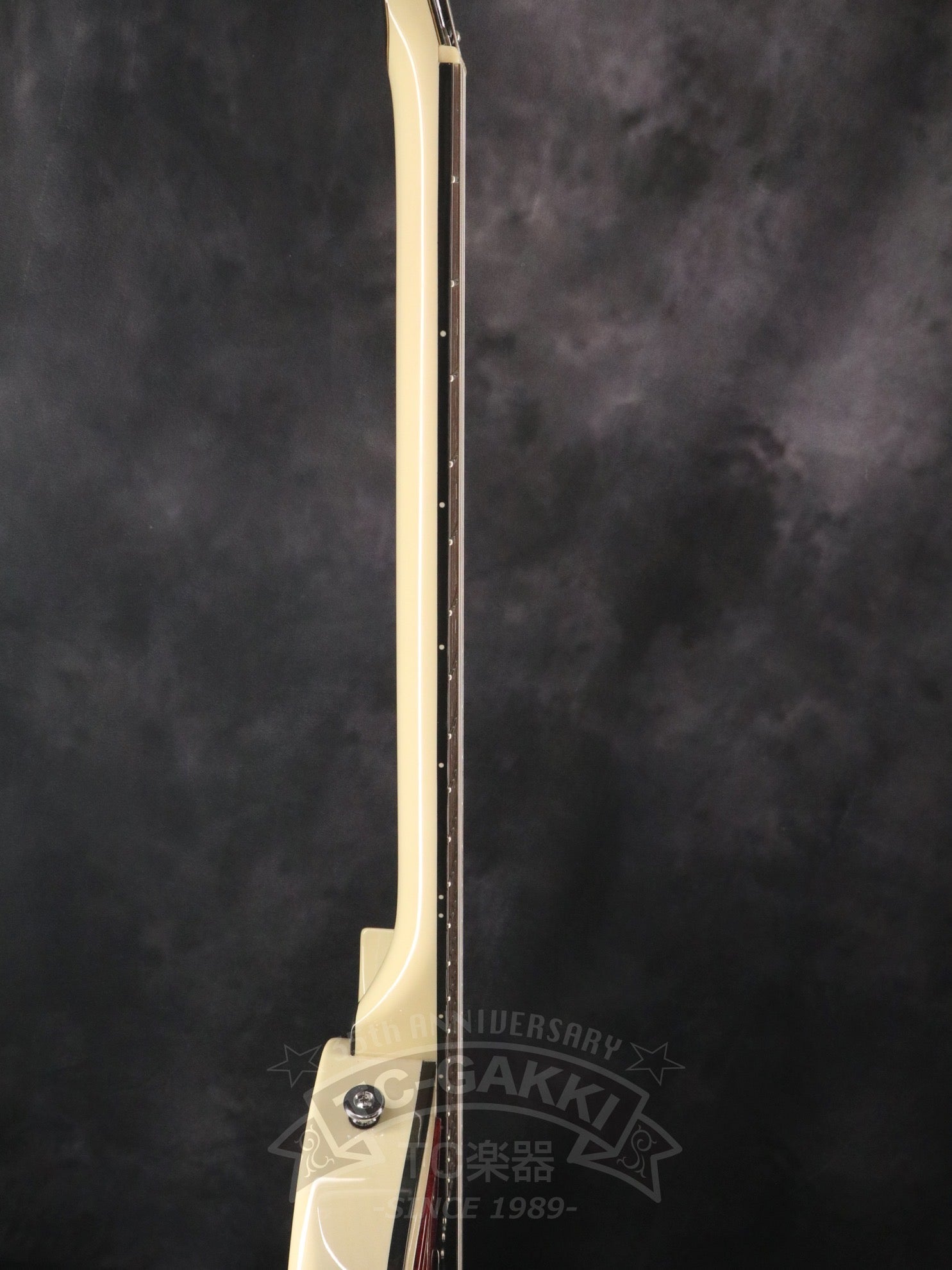 Style - D - TC楽器 - TCGAKKI