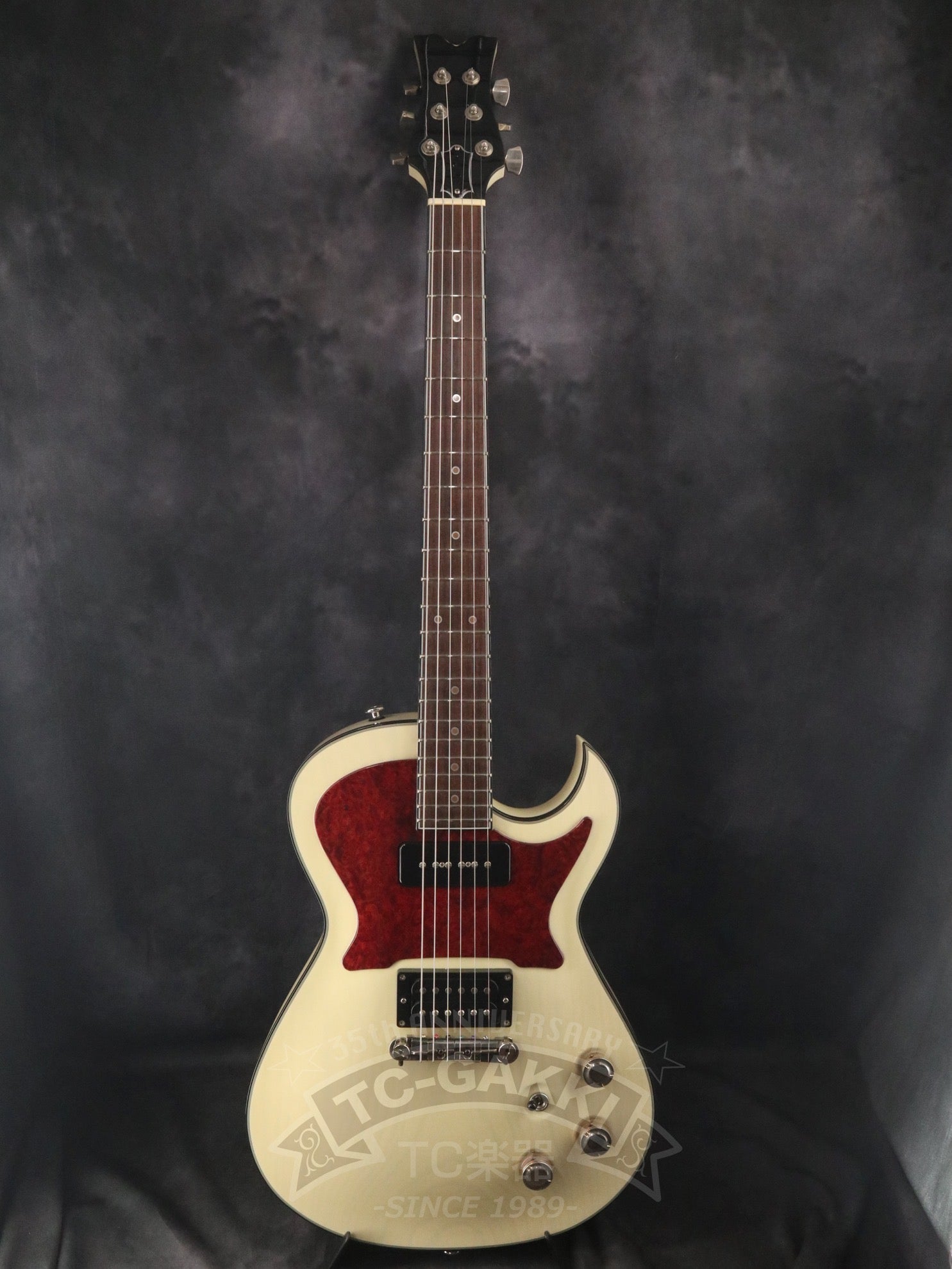 Style - D - TC楽器 - TCGAKKI