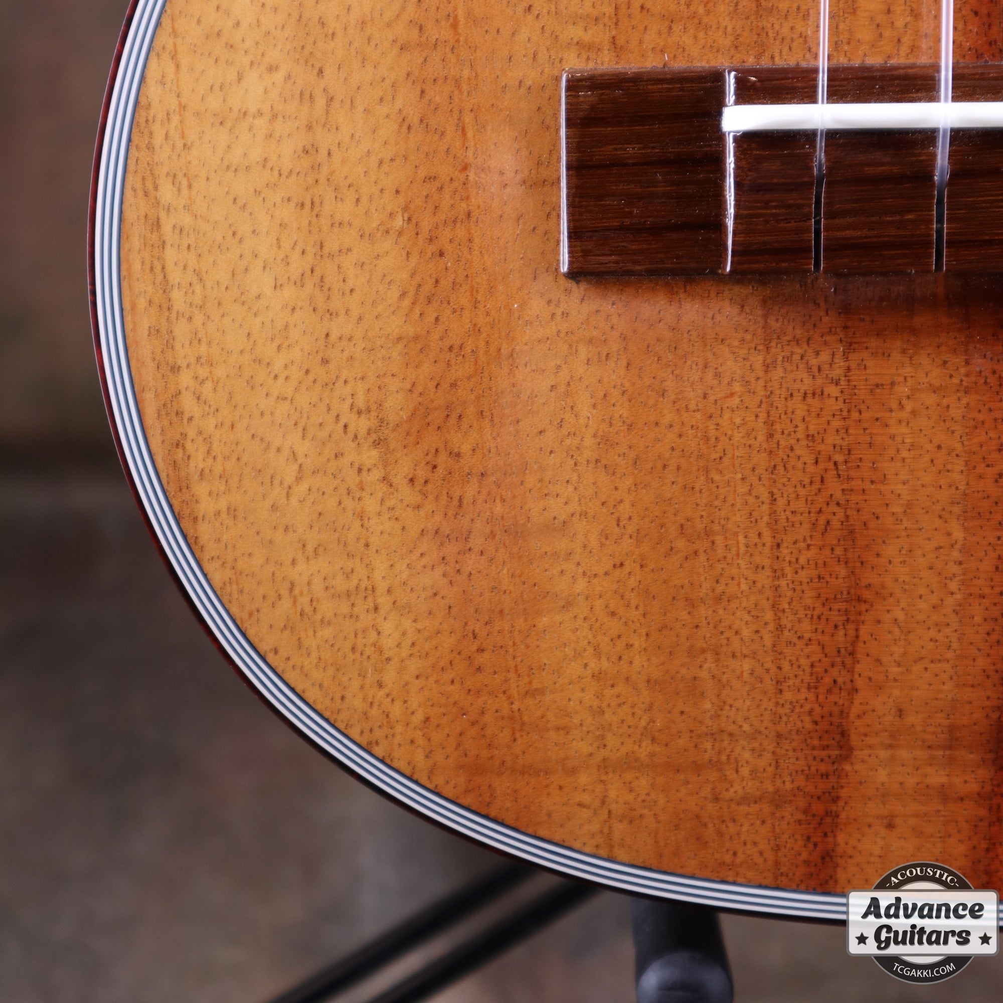 T - 46 Hawaiian Koa - TC楽器 - TCGAKKI