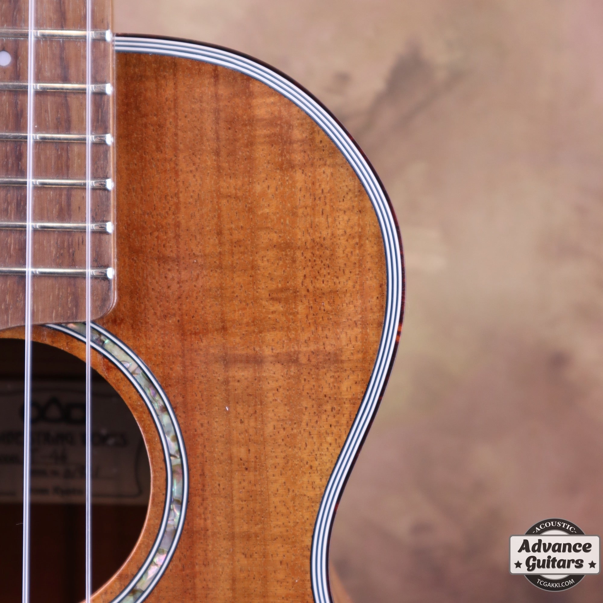 T - 46 Hawaiian Koa - TC楽器 - TCGAKKI