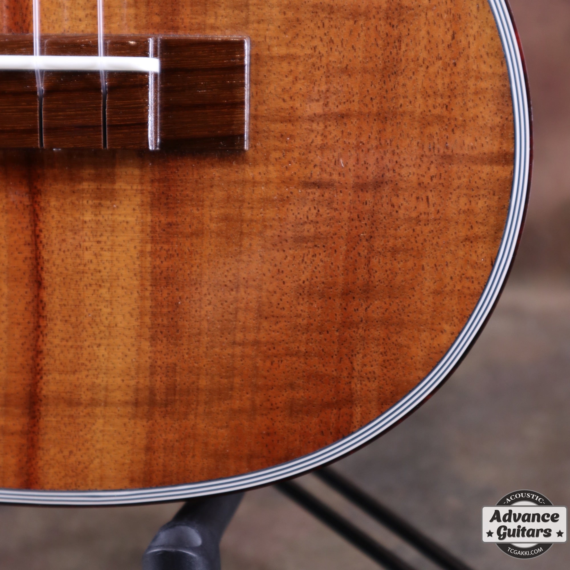 T - 46 Hawaiian Koa - TC楽器 - TCGAKKI