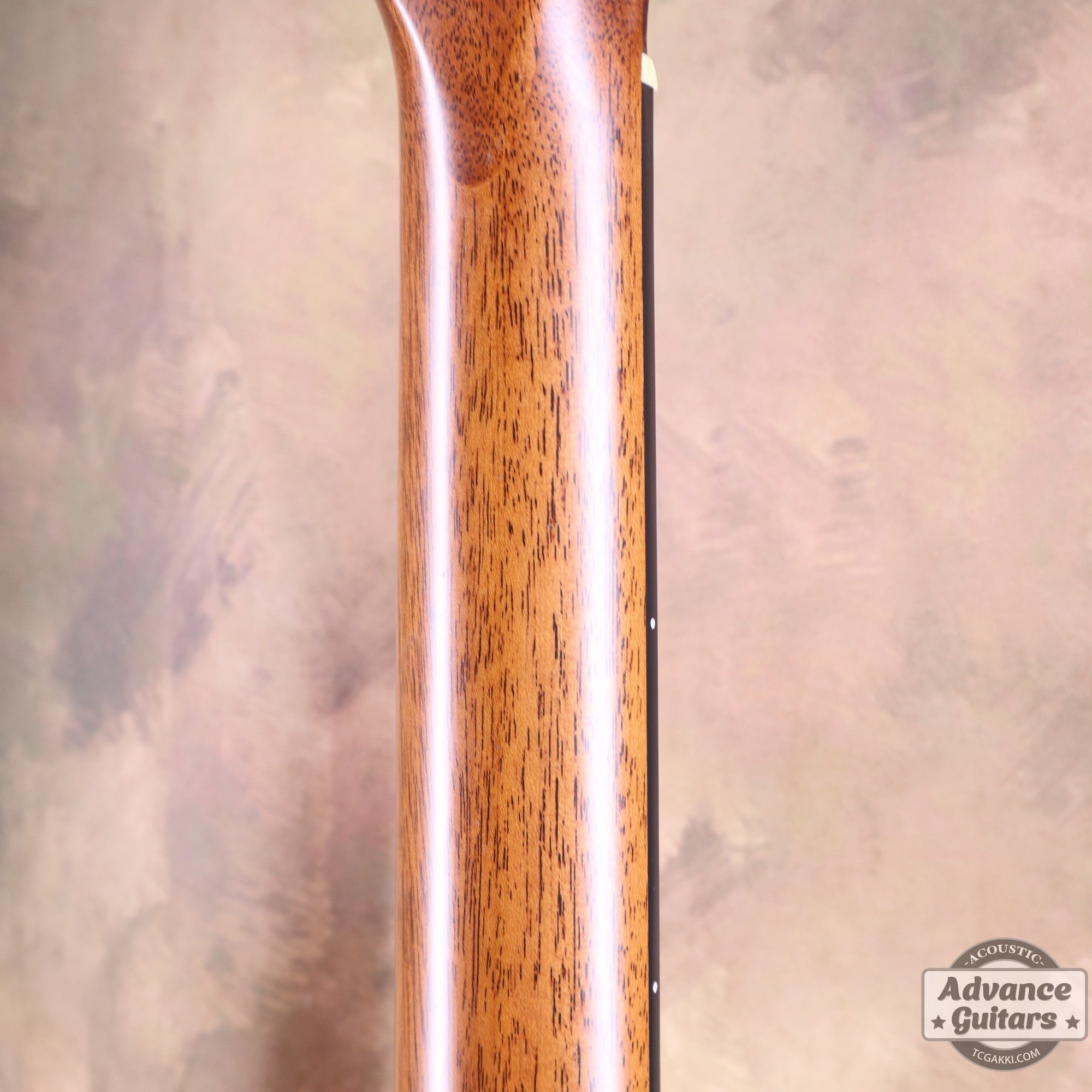 Taylor 2011年製 314ce ES2 - TC楽器 - TCGAKKI