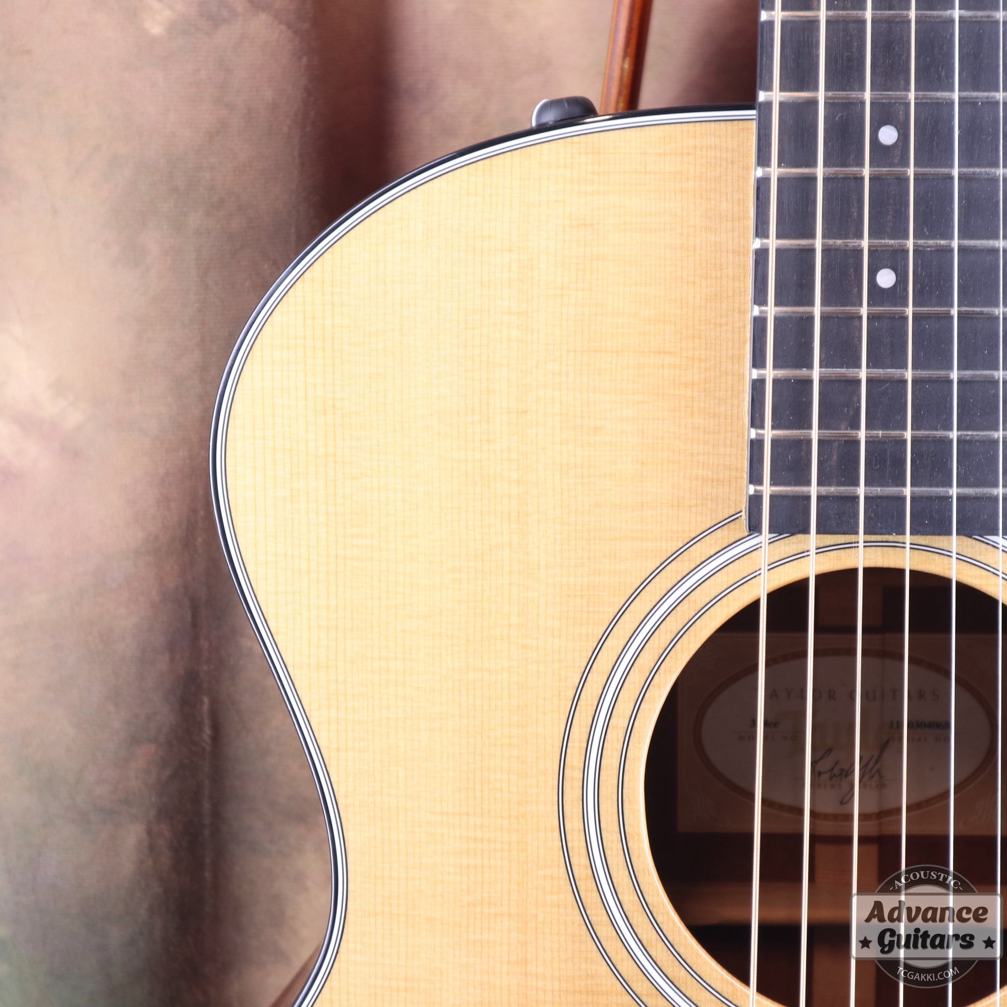 Taylor 2011年製 314ce ES2 - TC楽器 - TCGAKKI